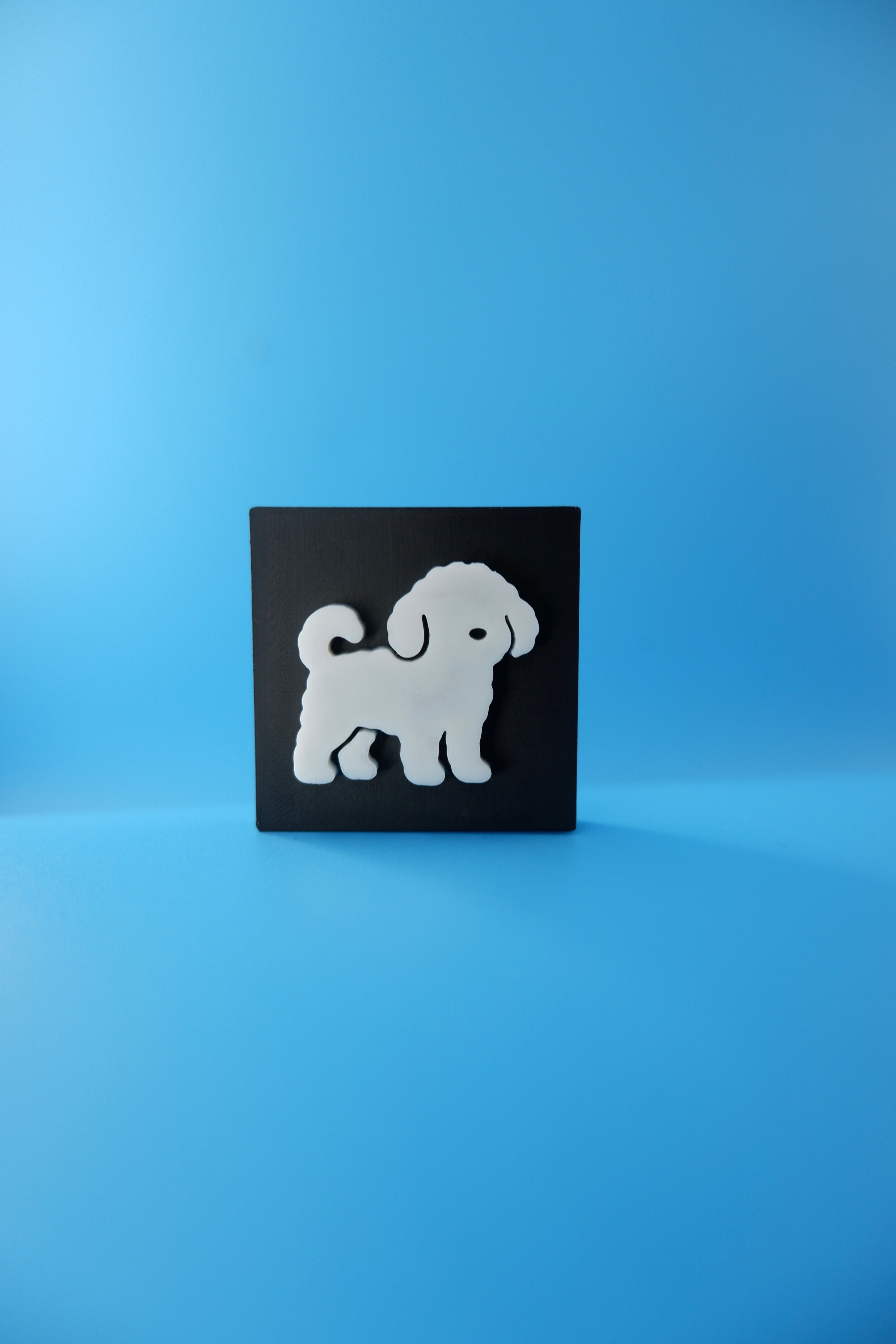 Poodle