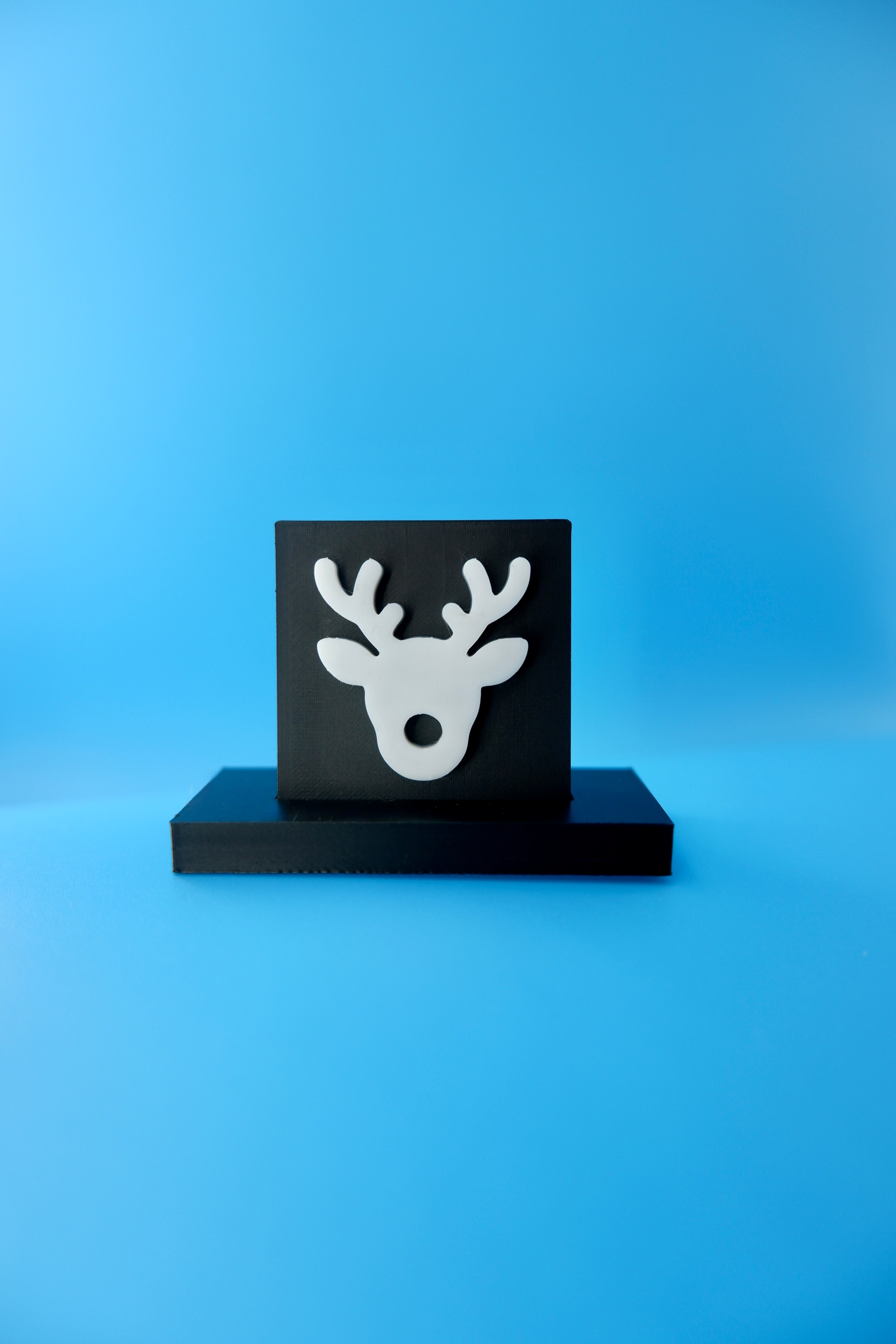 Reindeer