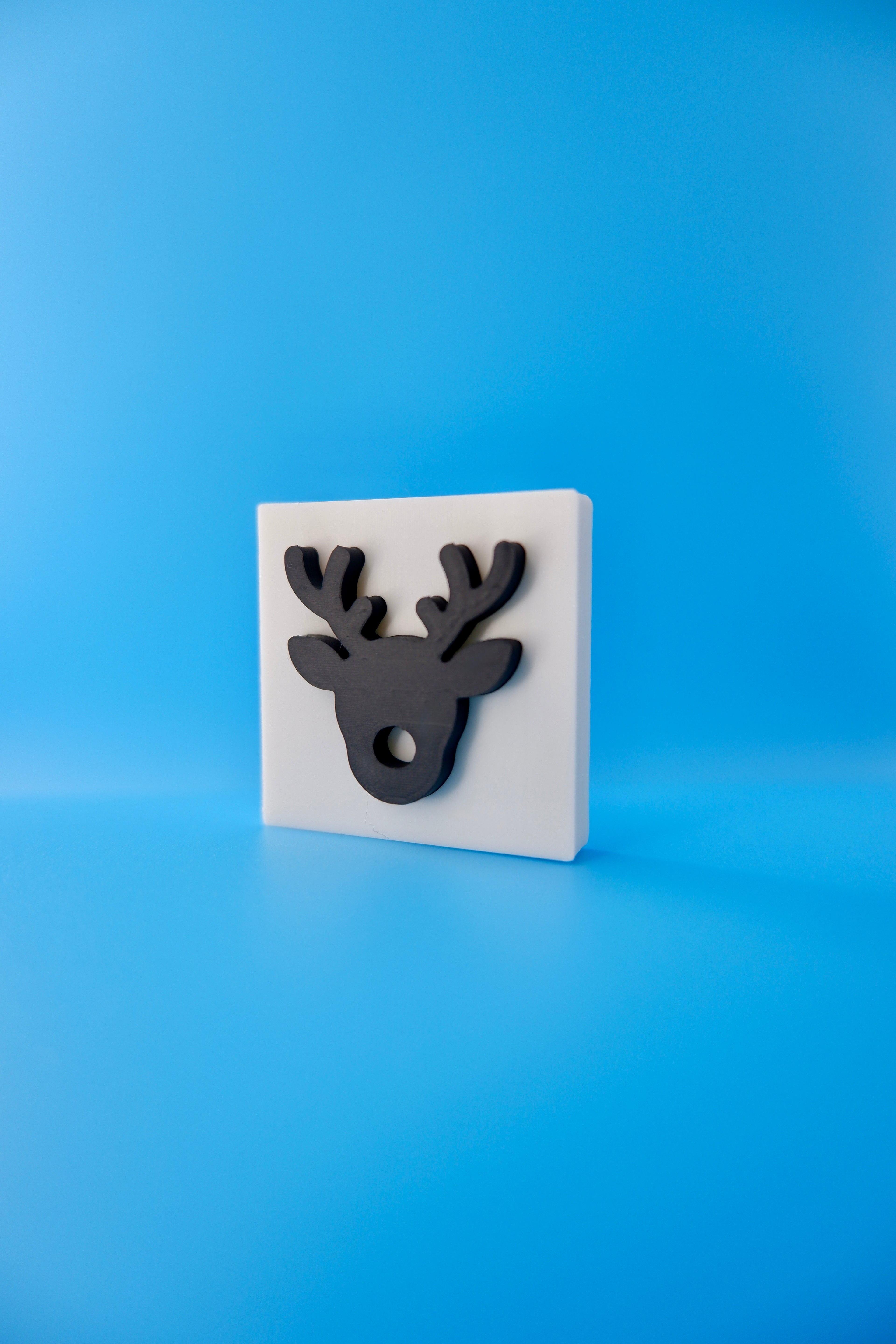 Reindeer