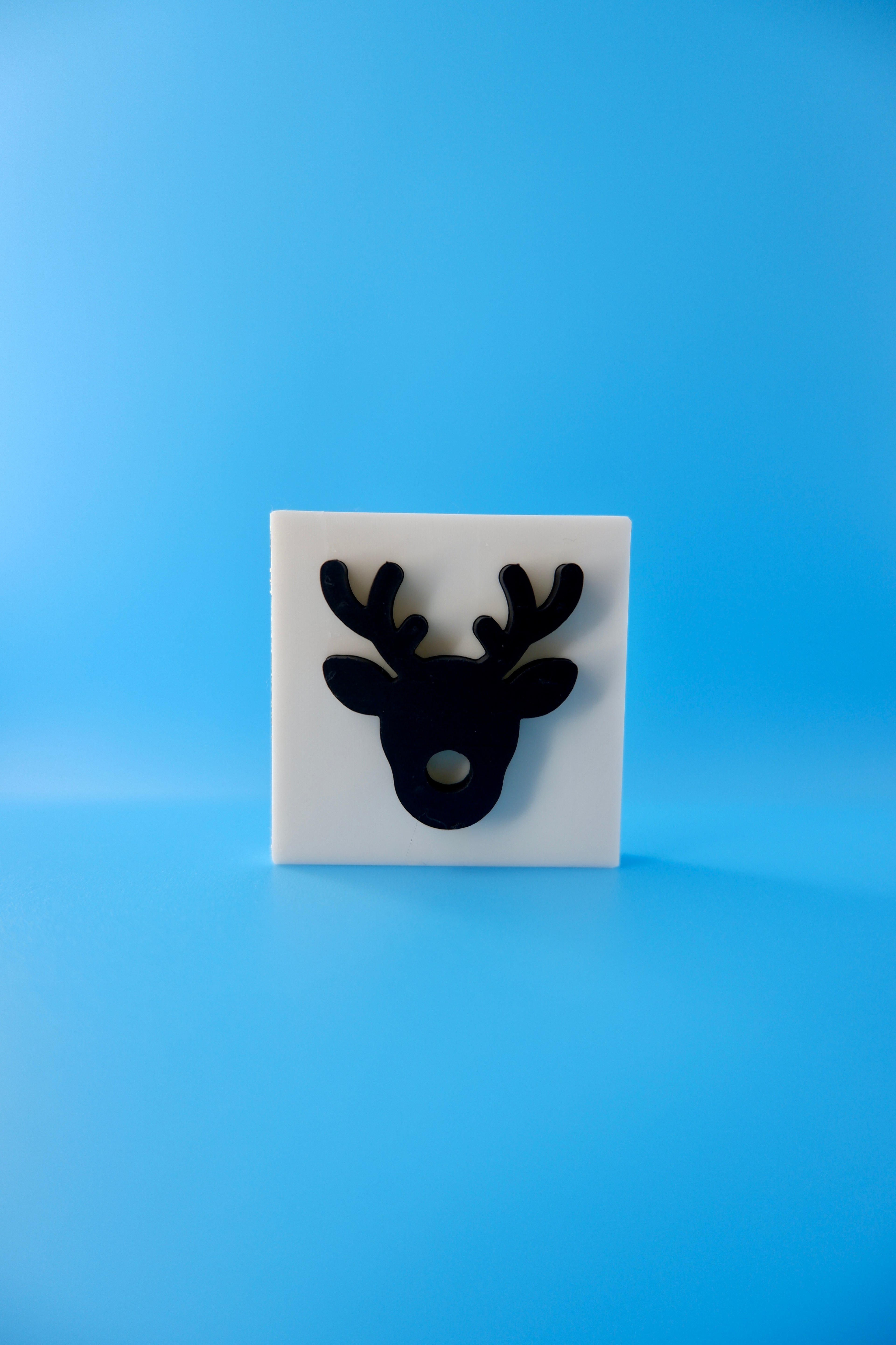 Reindeer