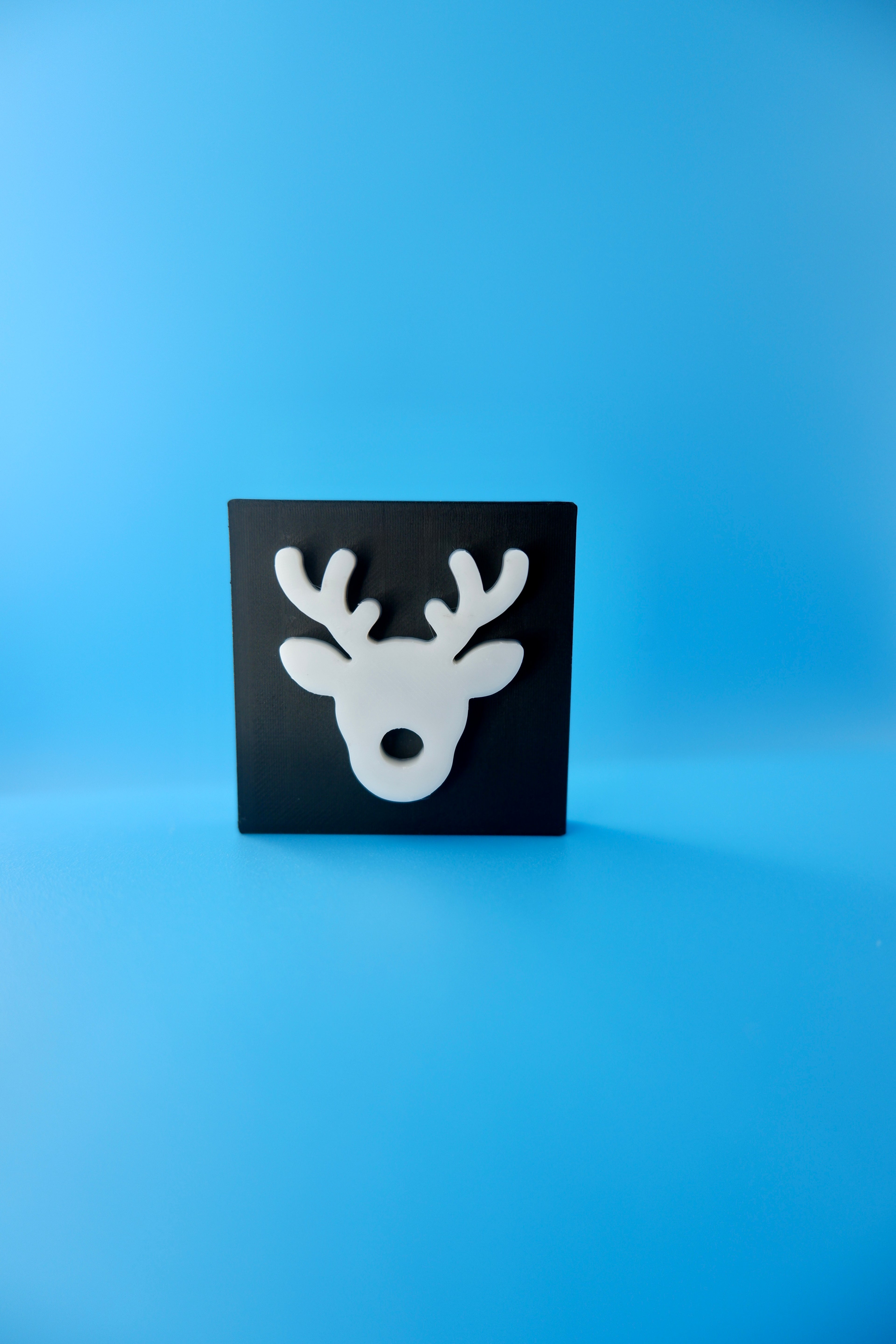 Reindeer