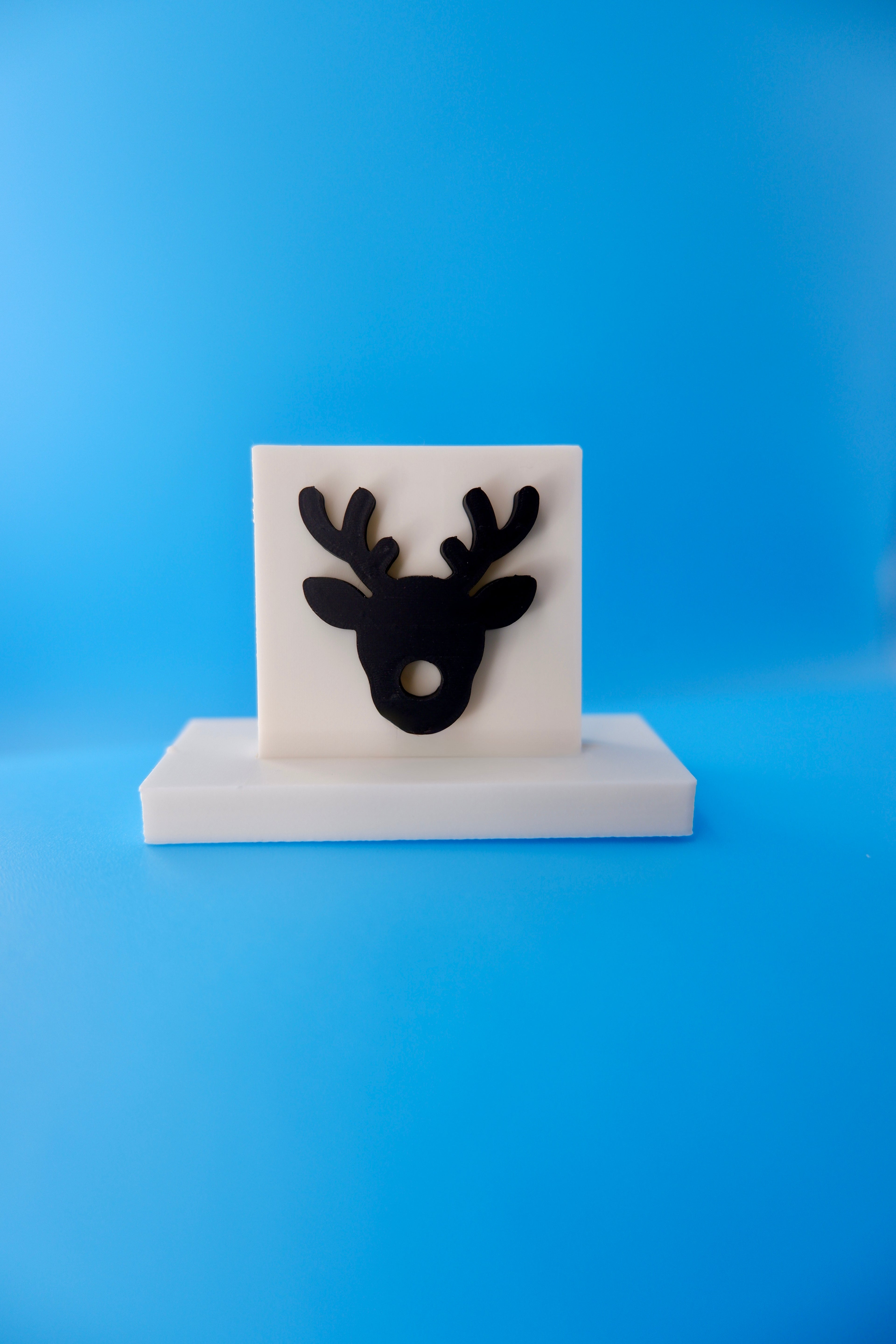 Reindeer