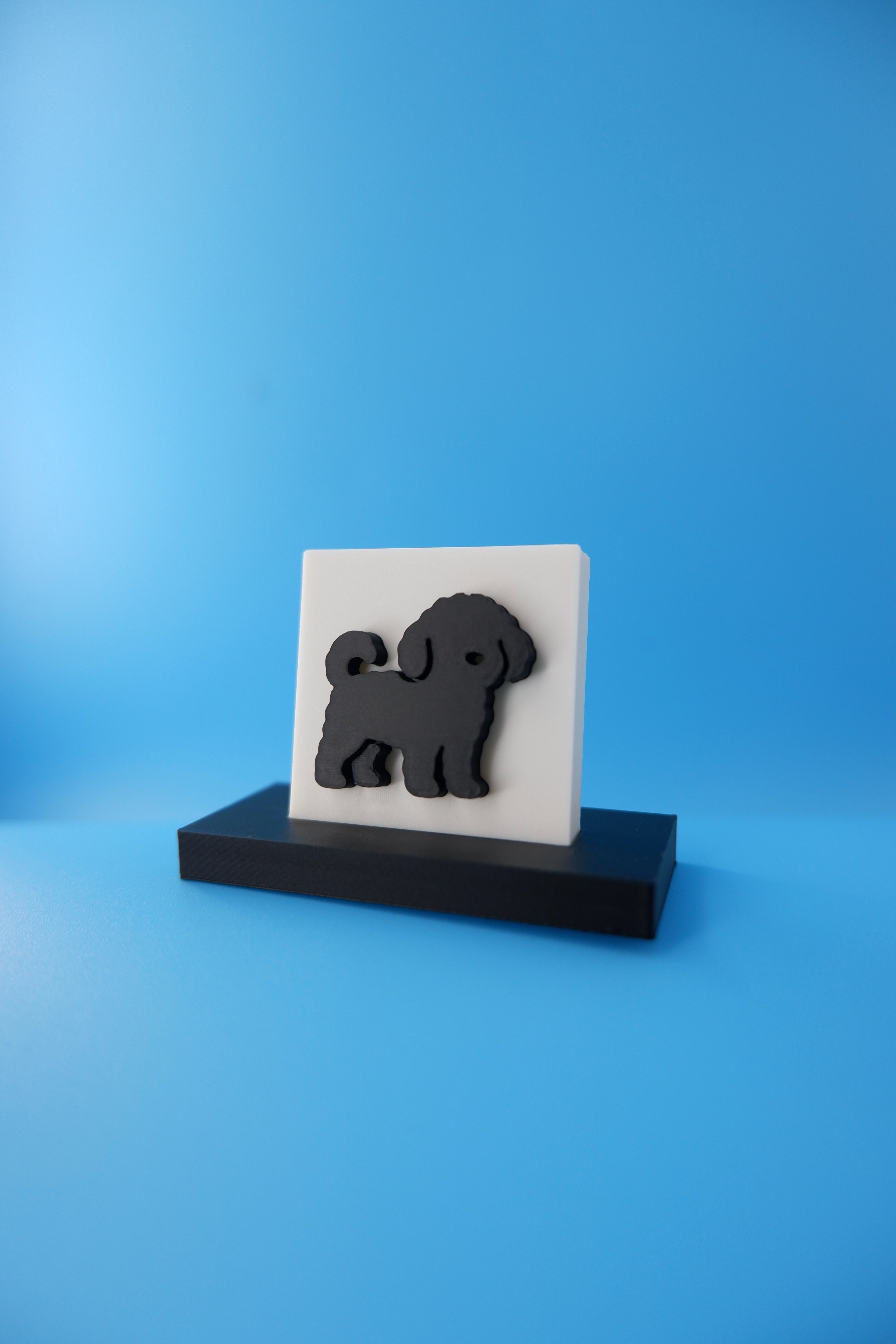 Poodle