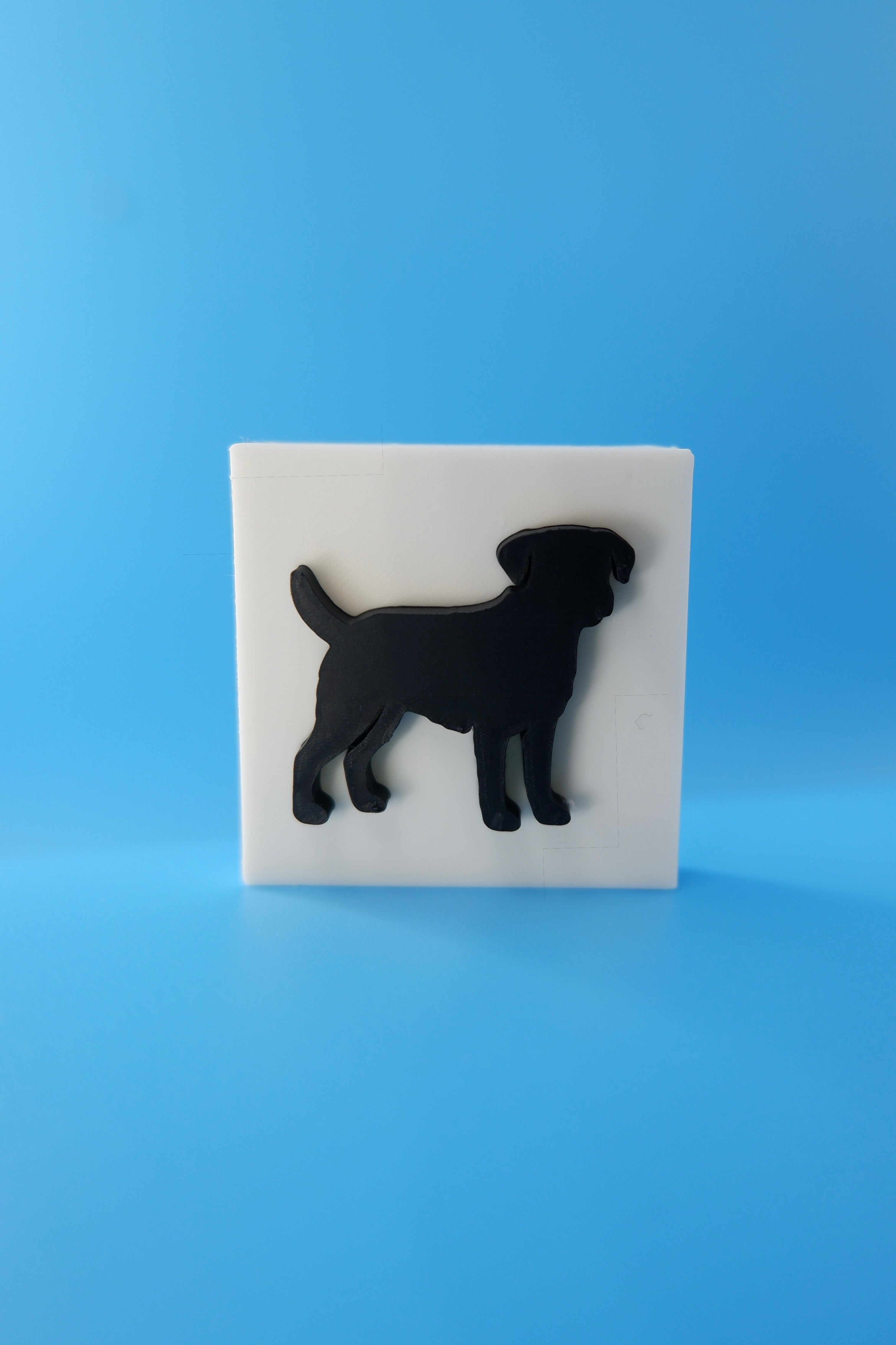 Border Terrier