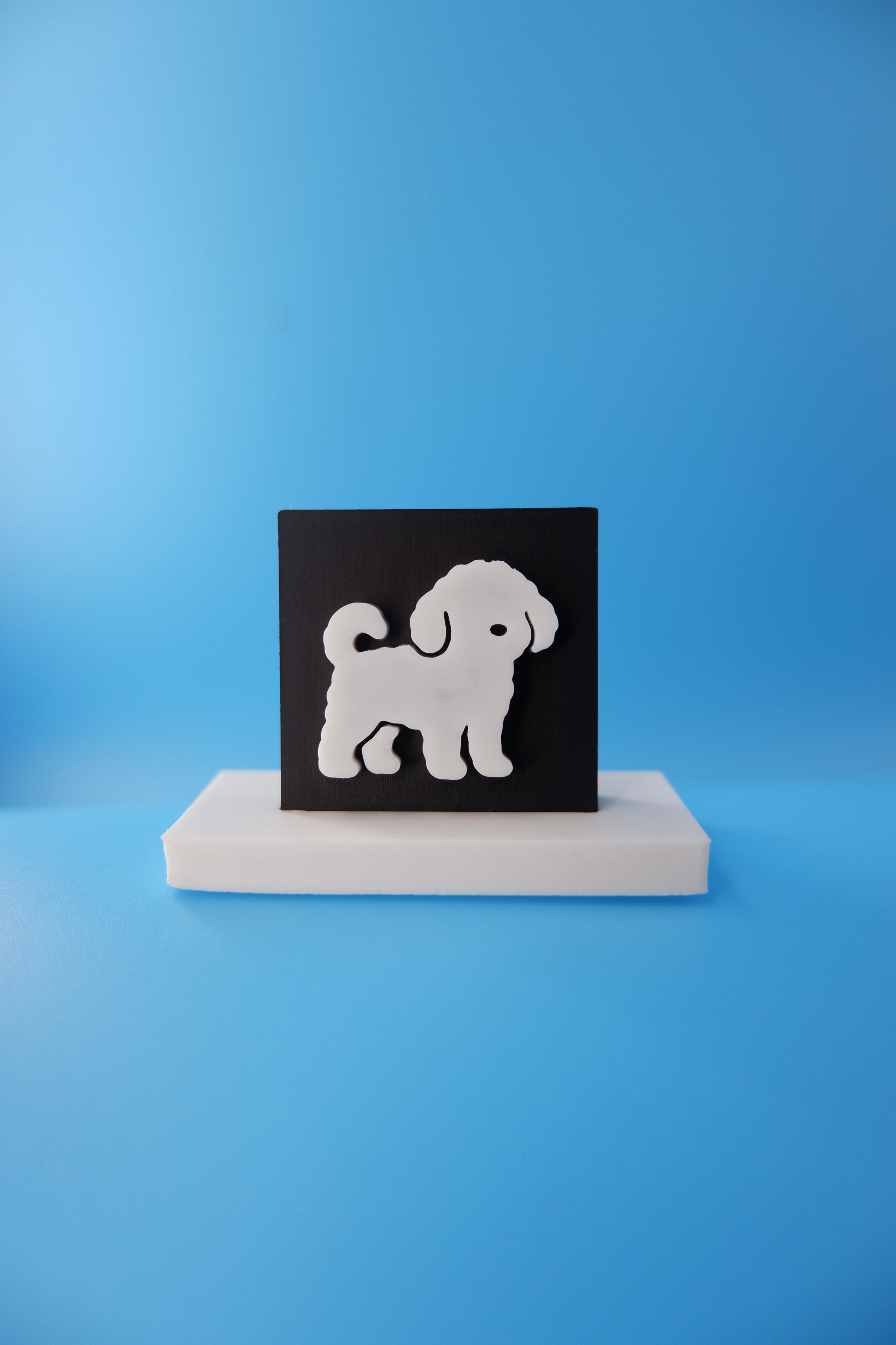 Poodle