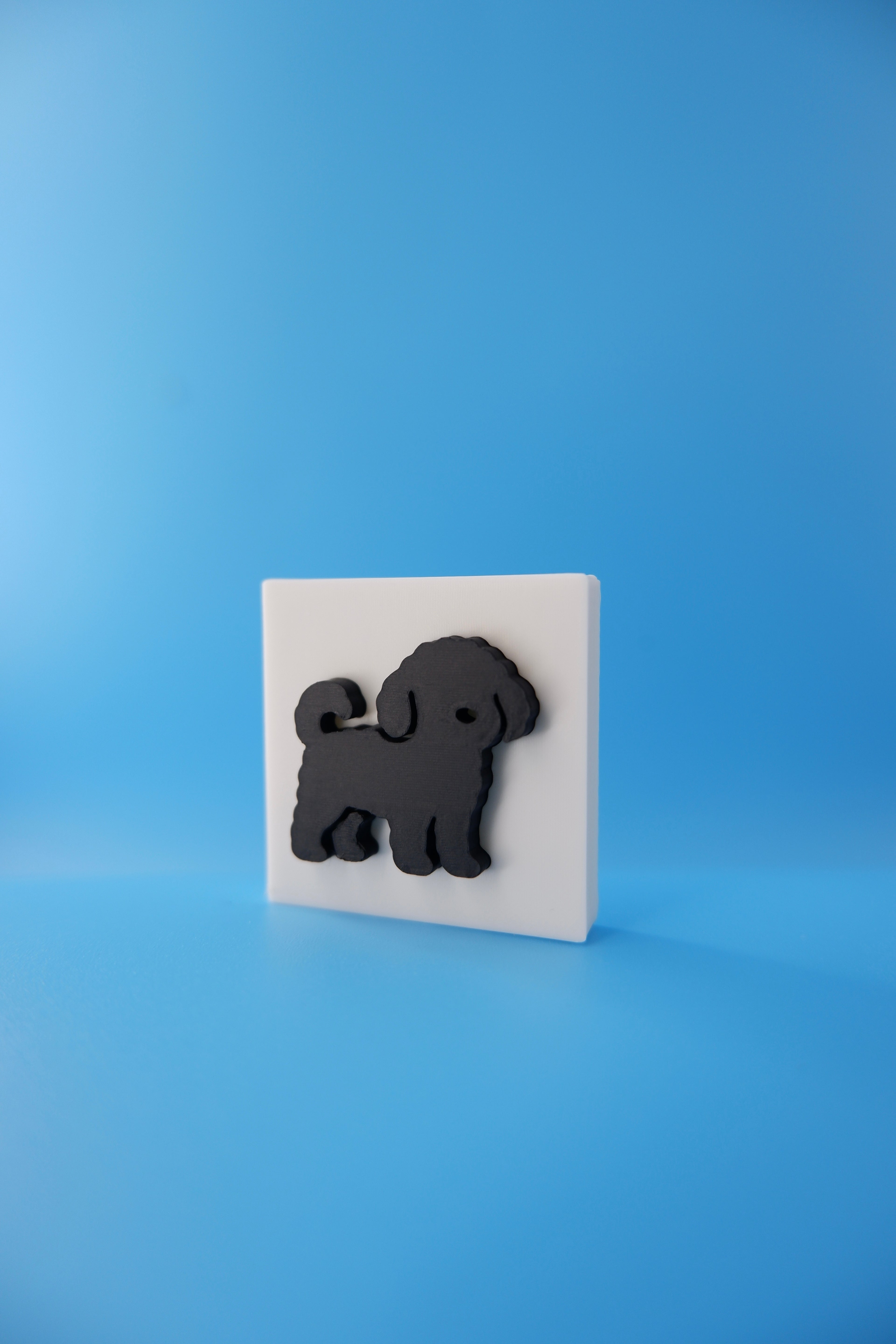 Poodle