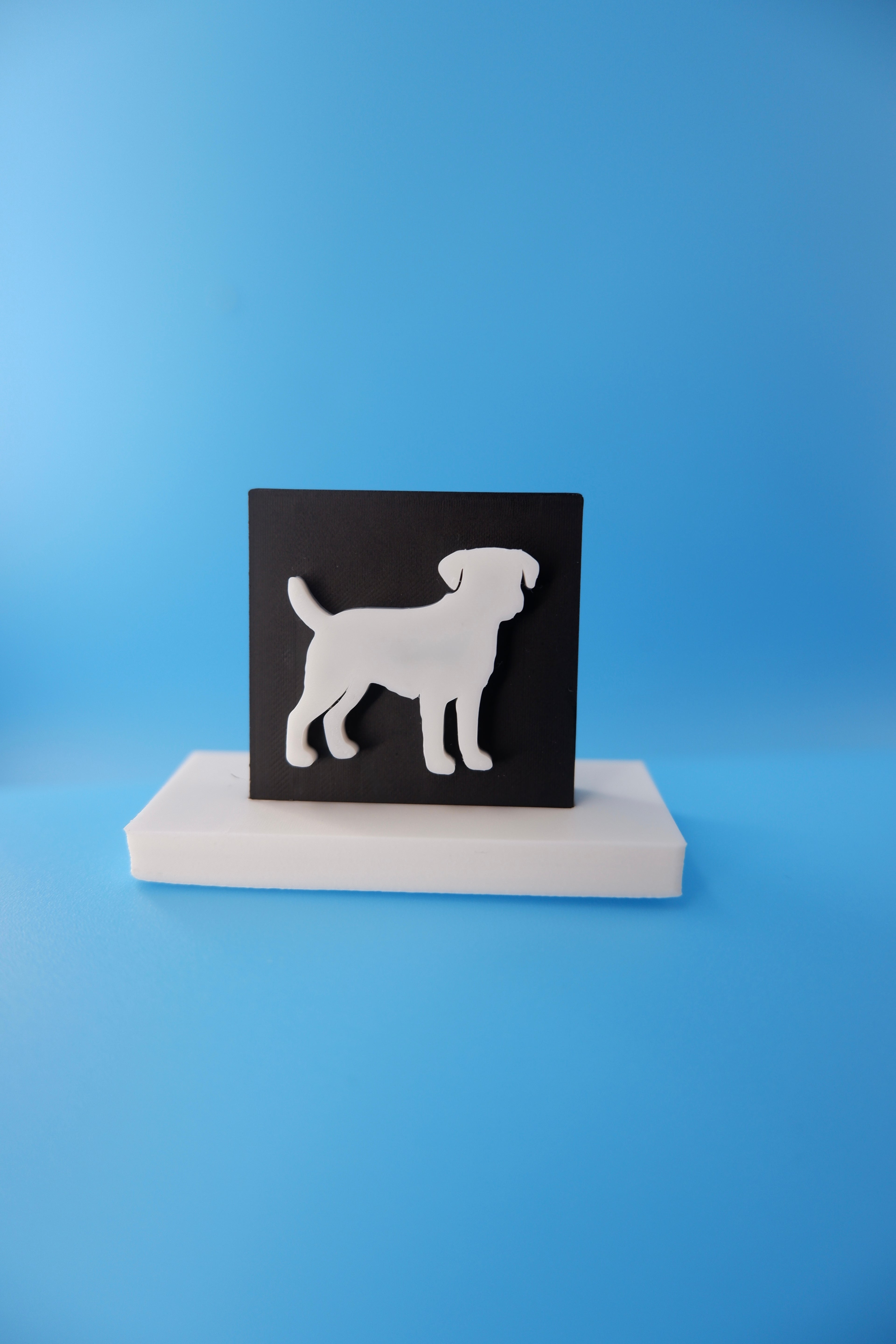 Border Terrier