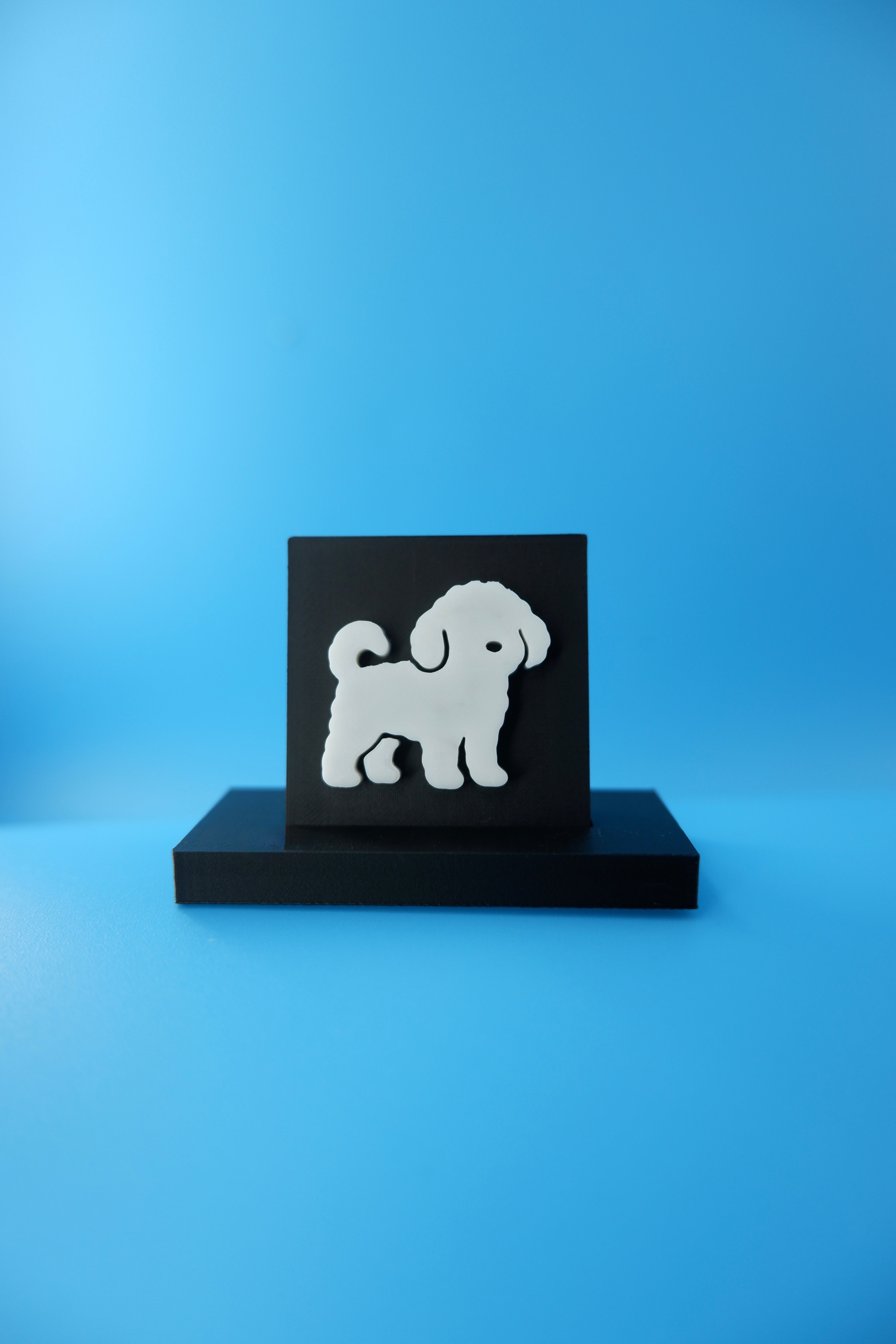 Poodle