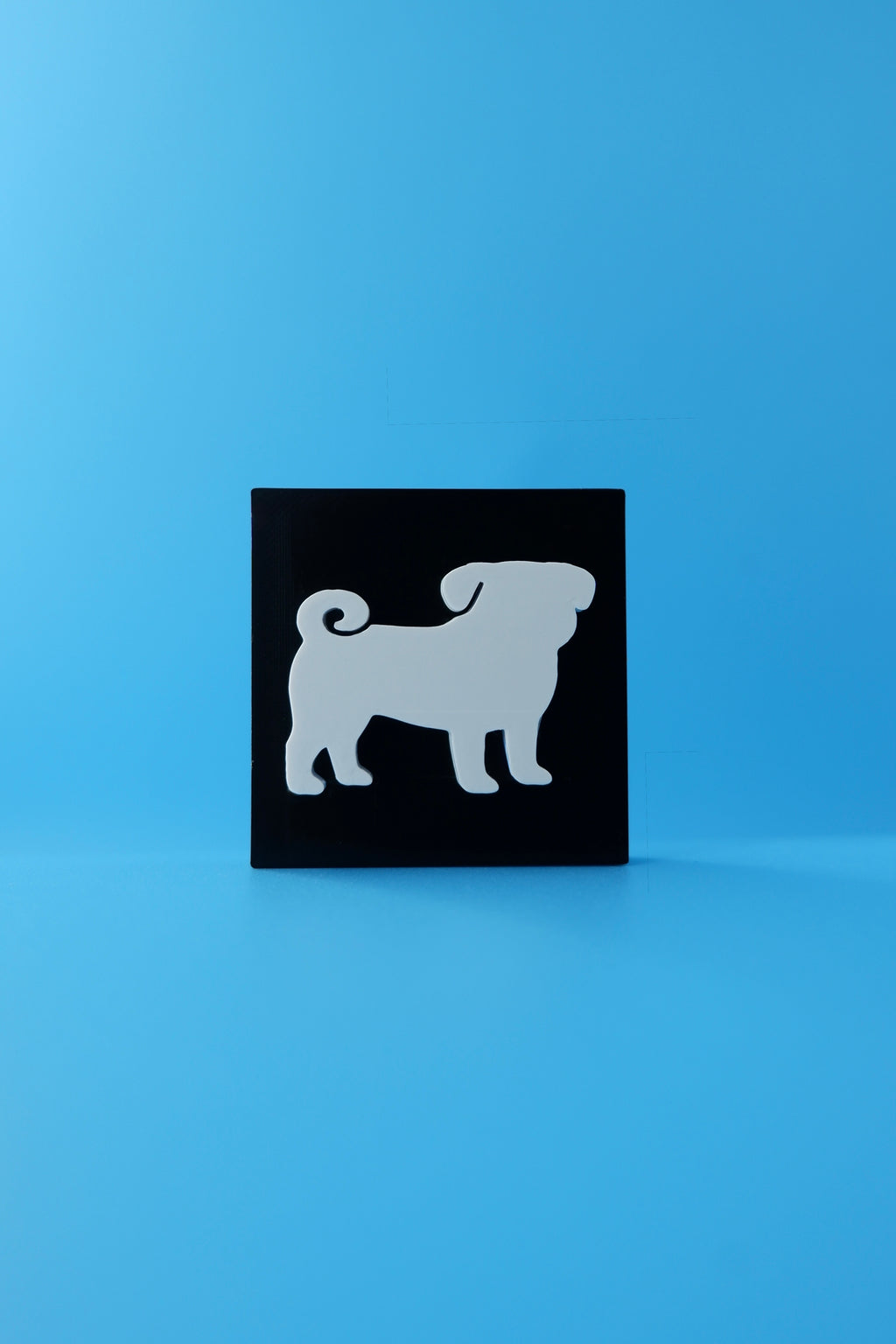 Pug