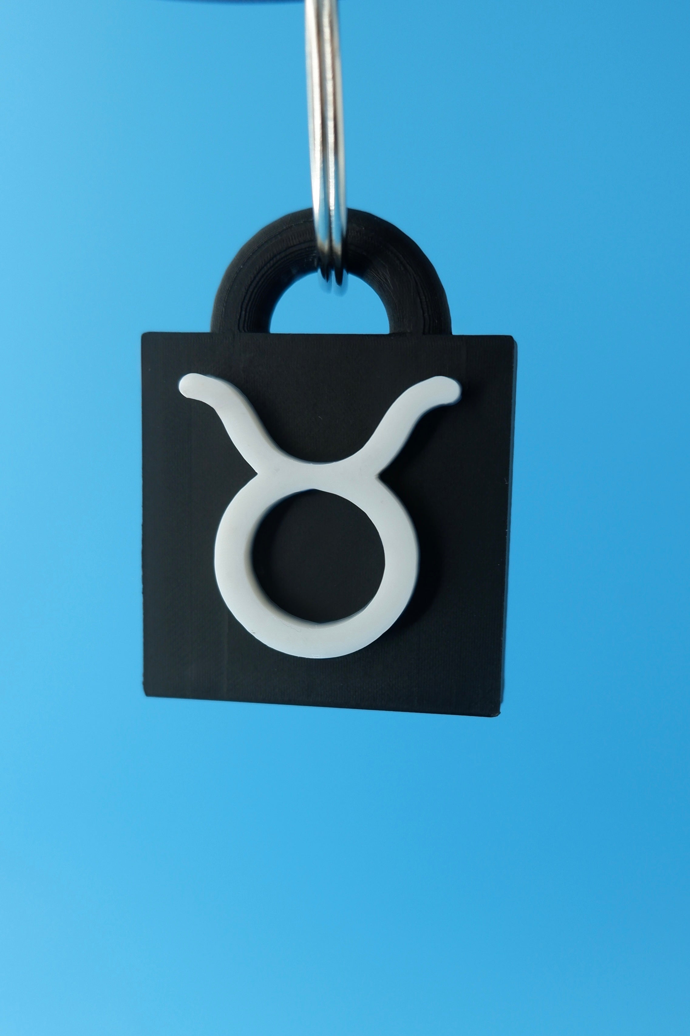 Taurus Keychain