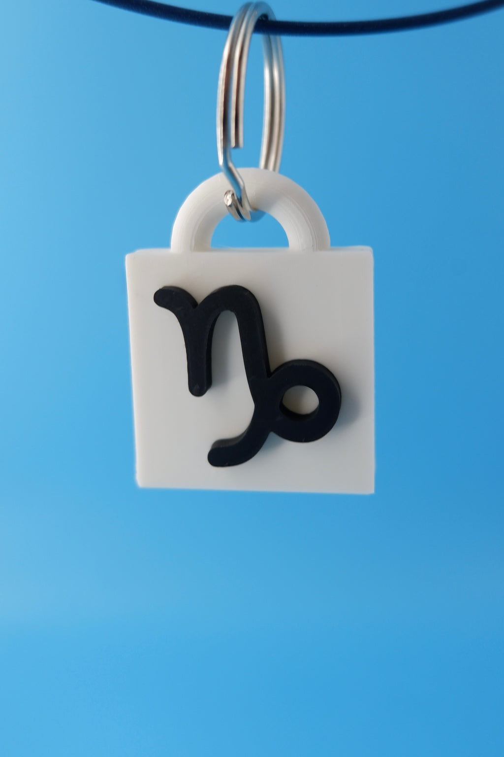 Capricorn Keychain