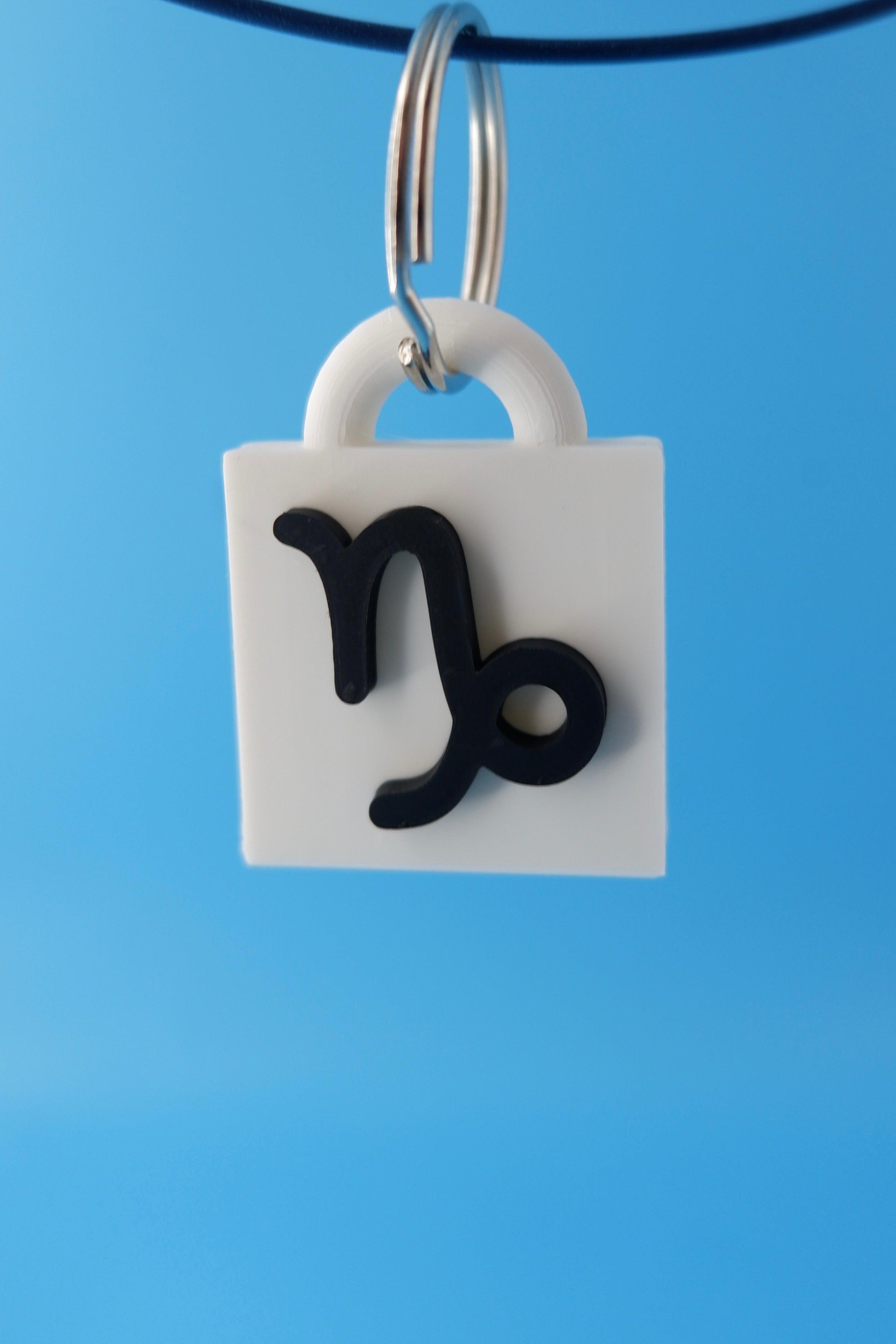 Capricorn Keychain