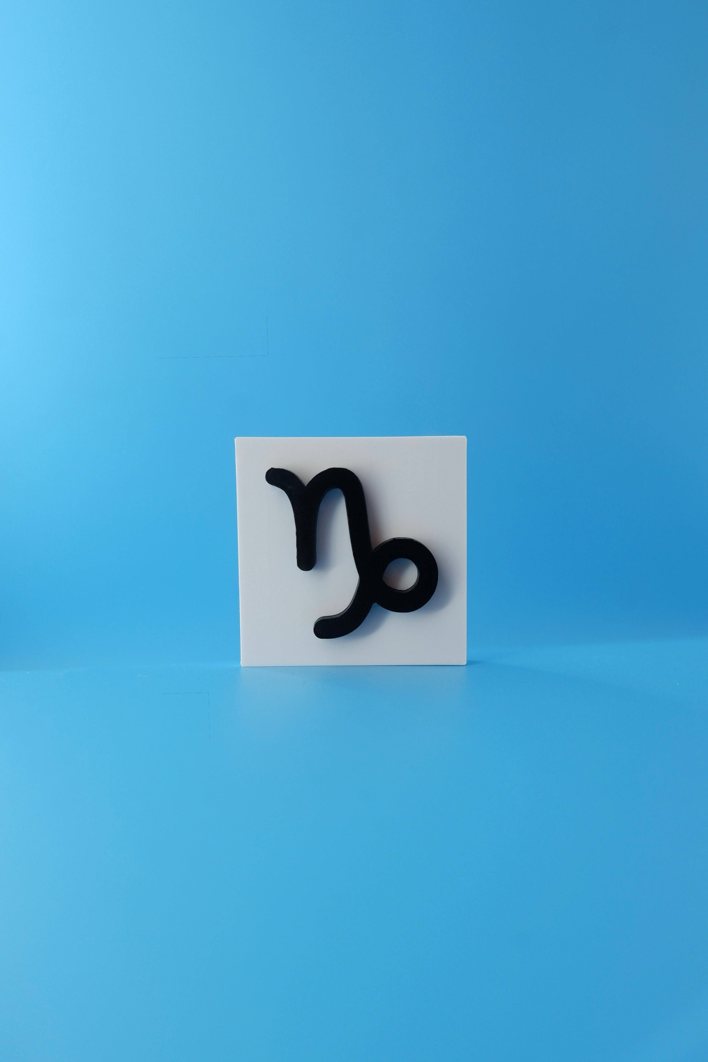 Capricorn