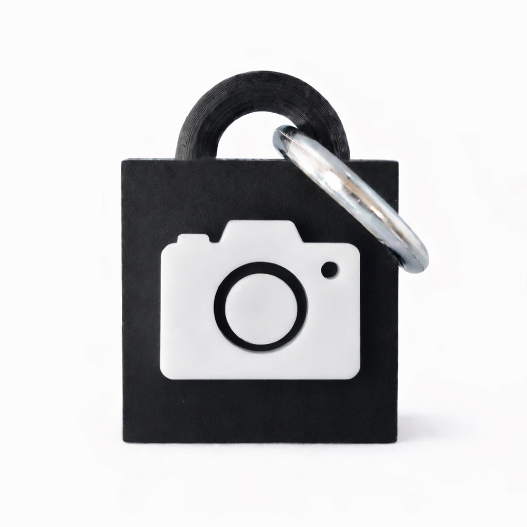 Take My Picture Keychain
