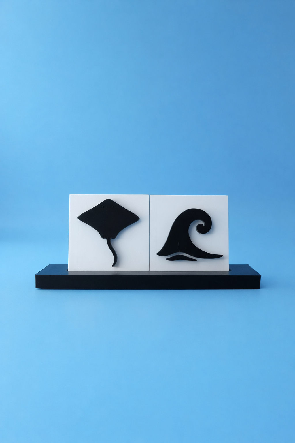 Ray & Wave