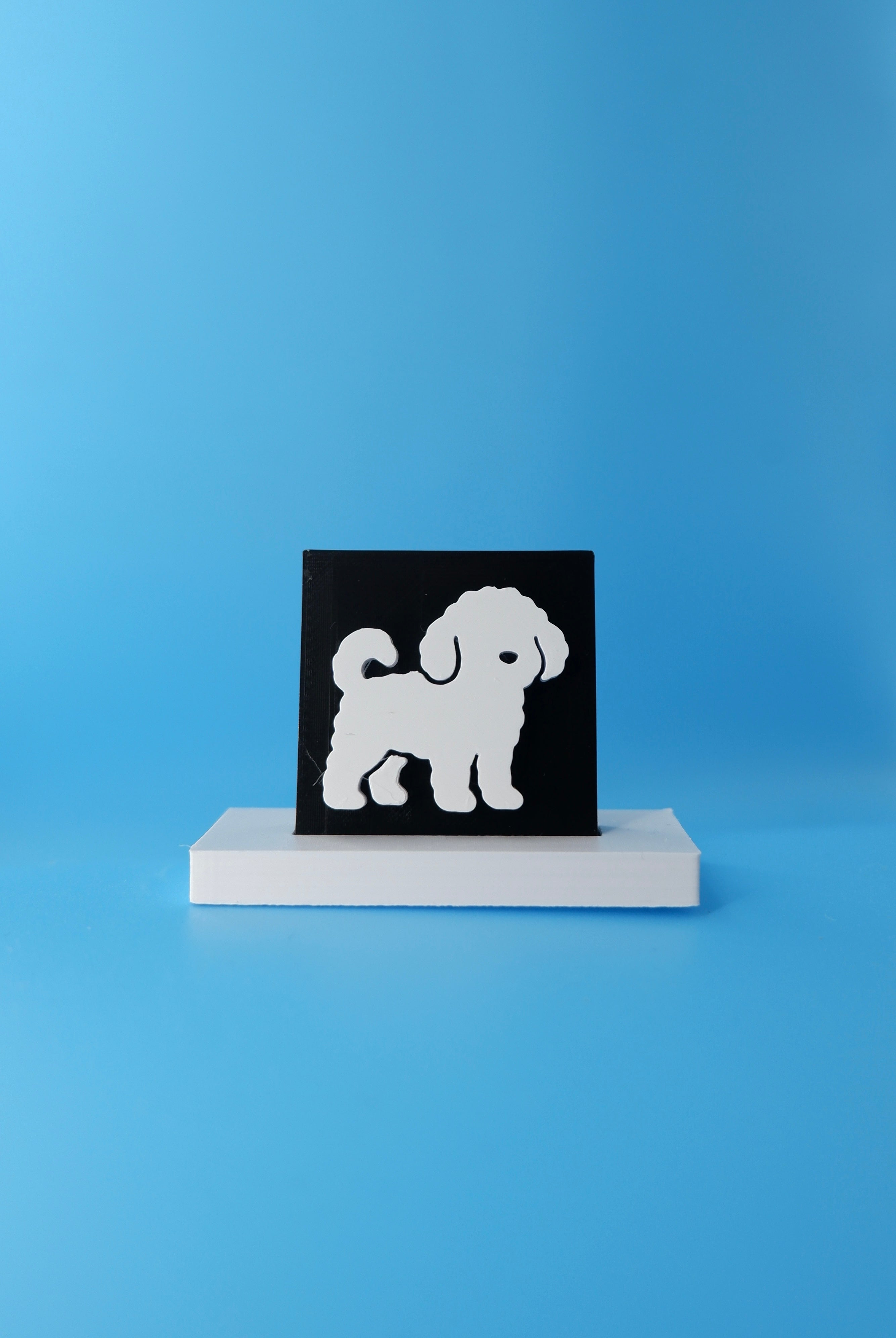 Cavoodle