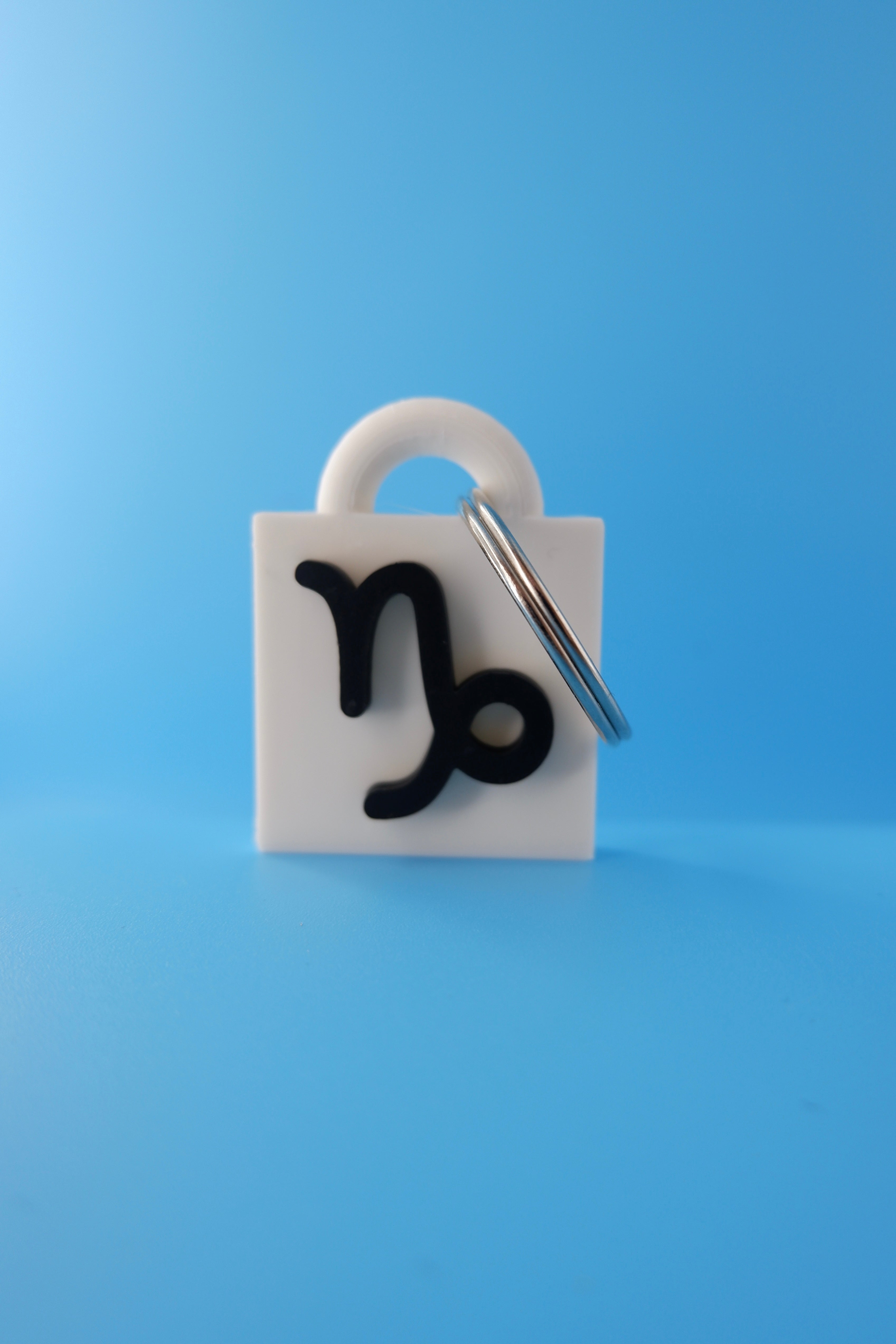 Capricorn Keychain