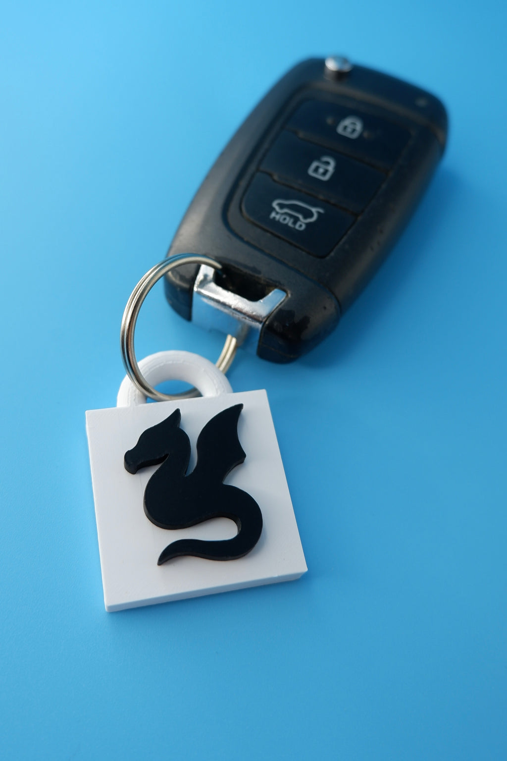 The Sky Protector Keychain