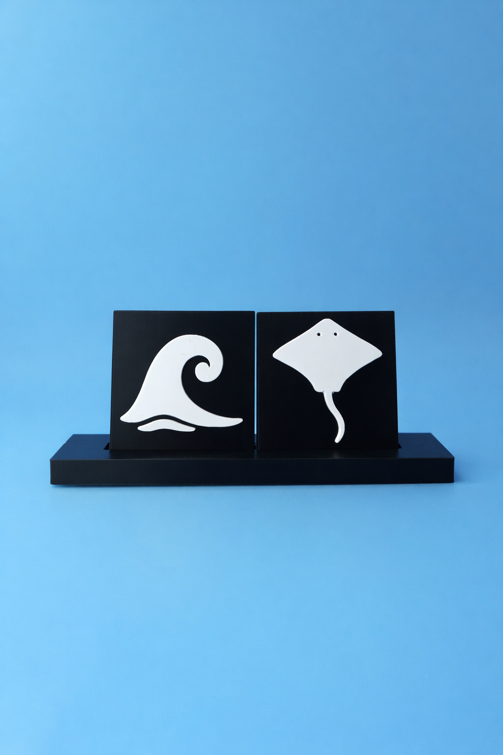 Ray & Wave