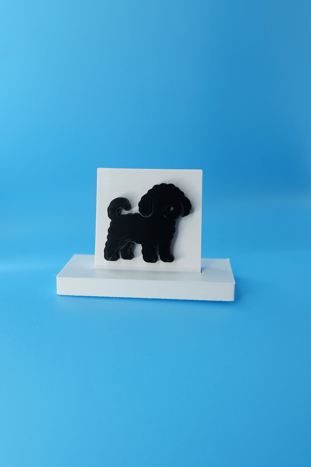 Cavoodle