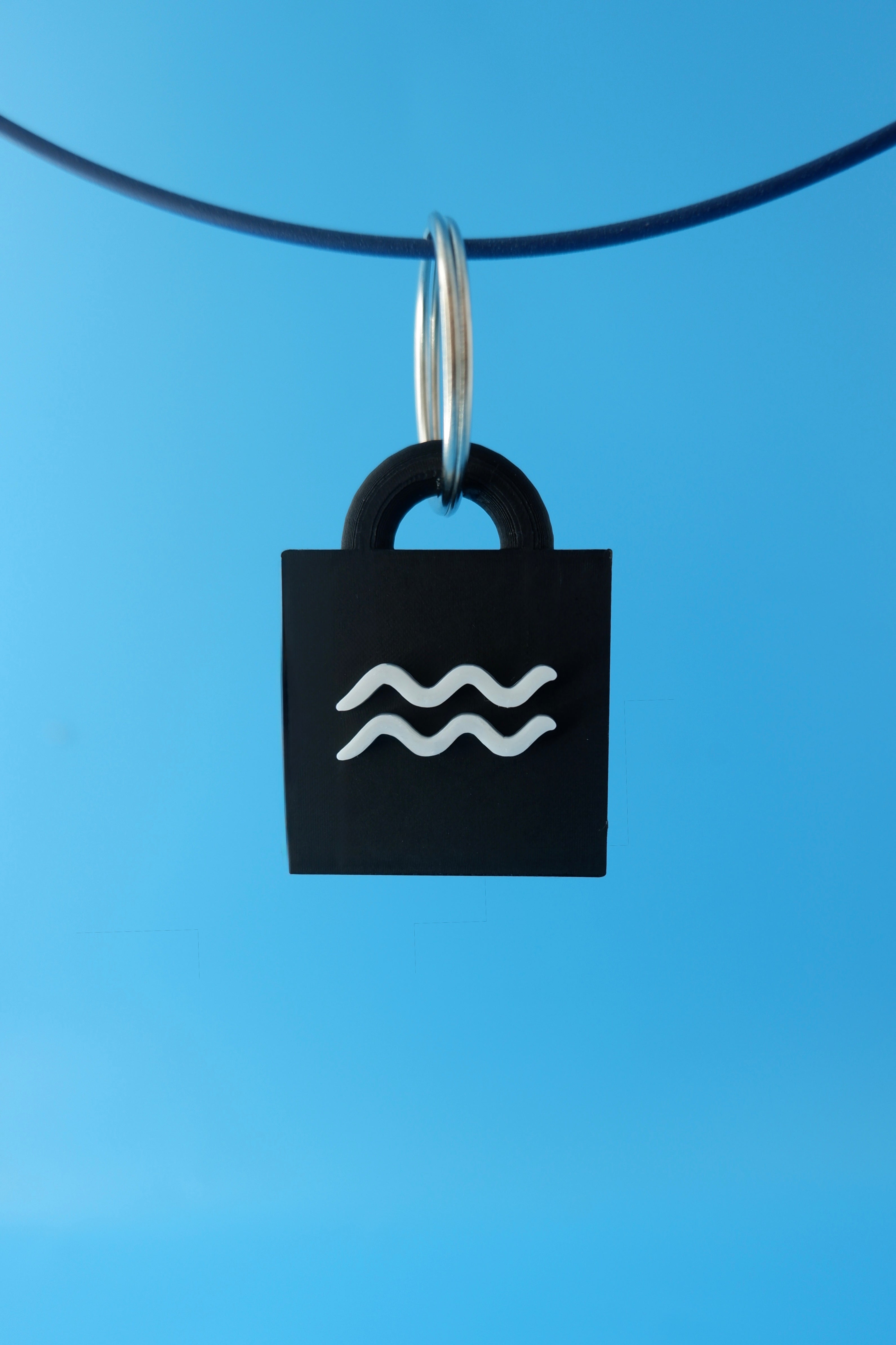 Aquarius Keychain