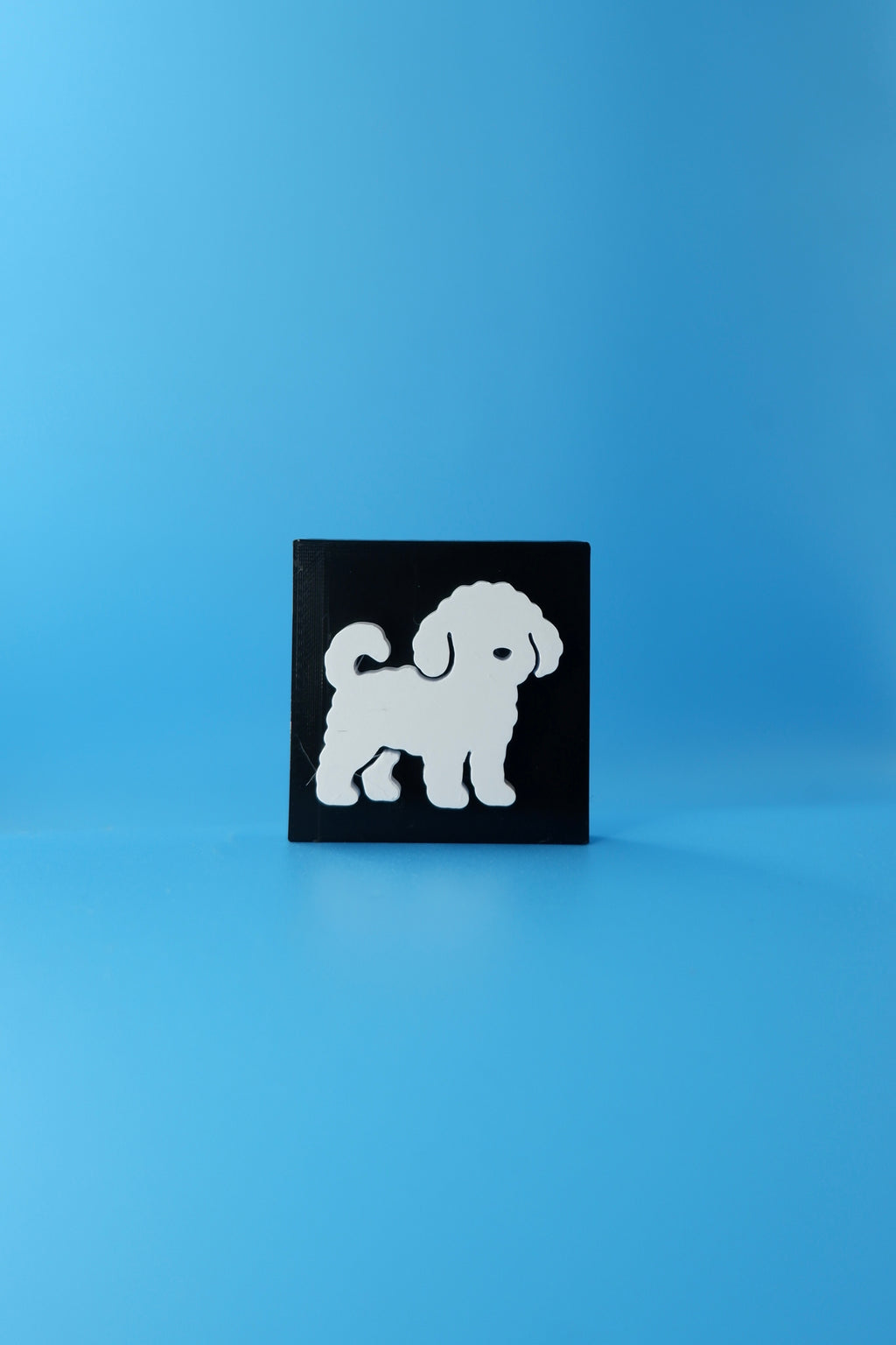 Cavoodle