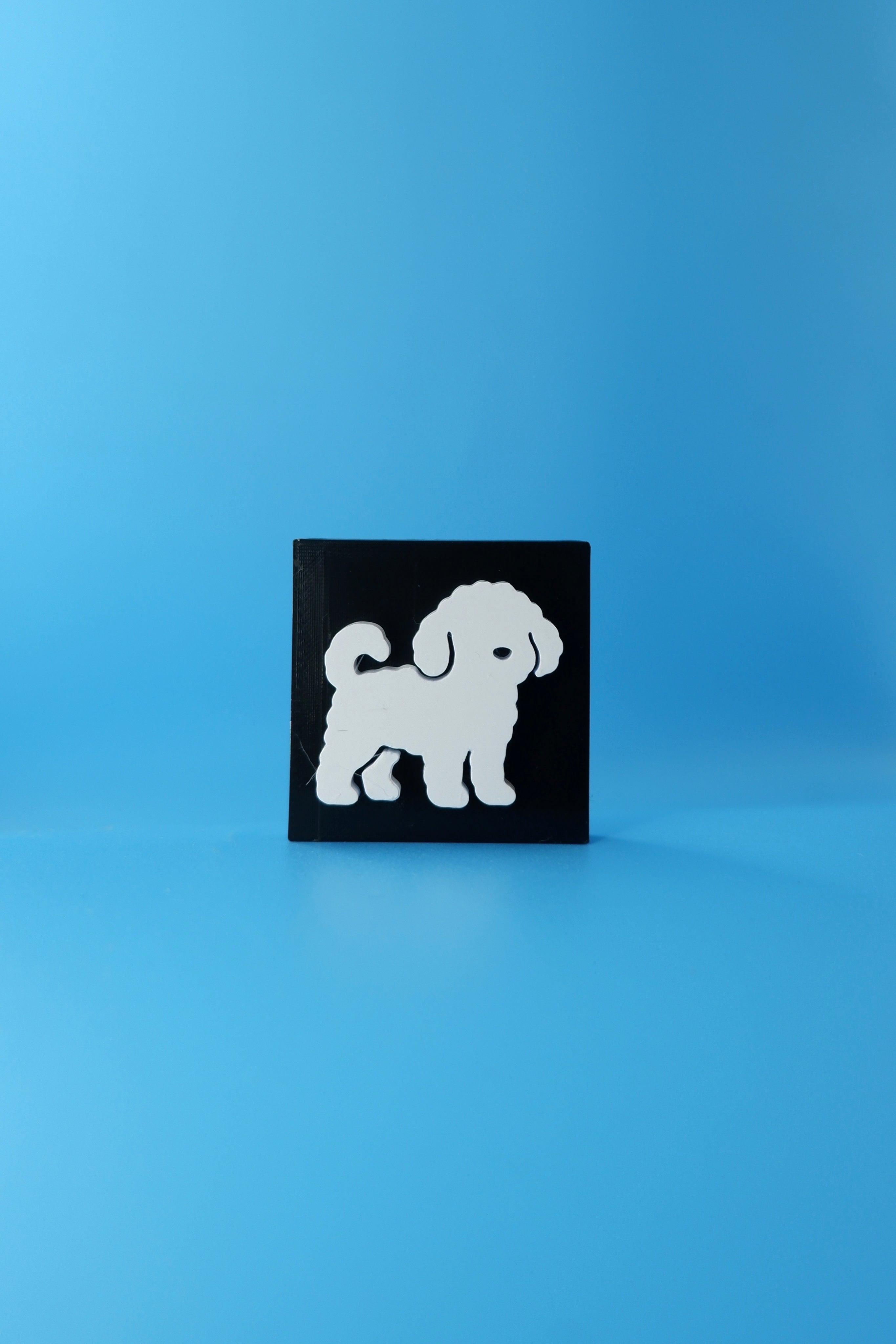 Cavoodle