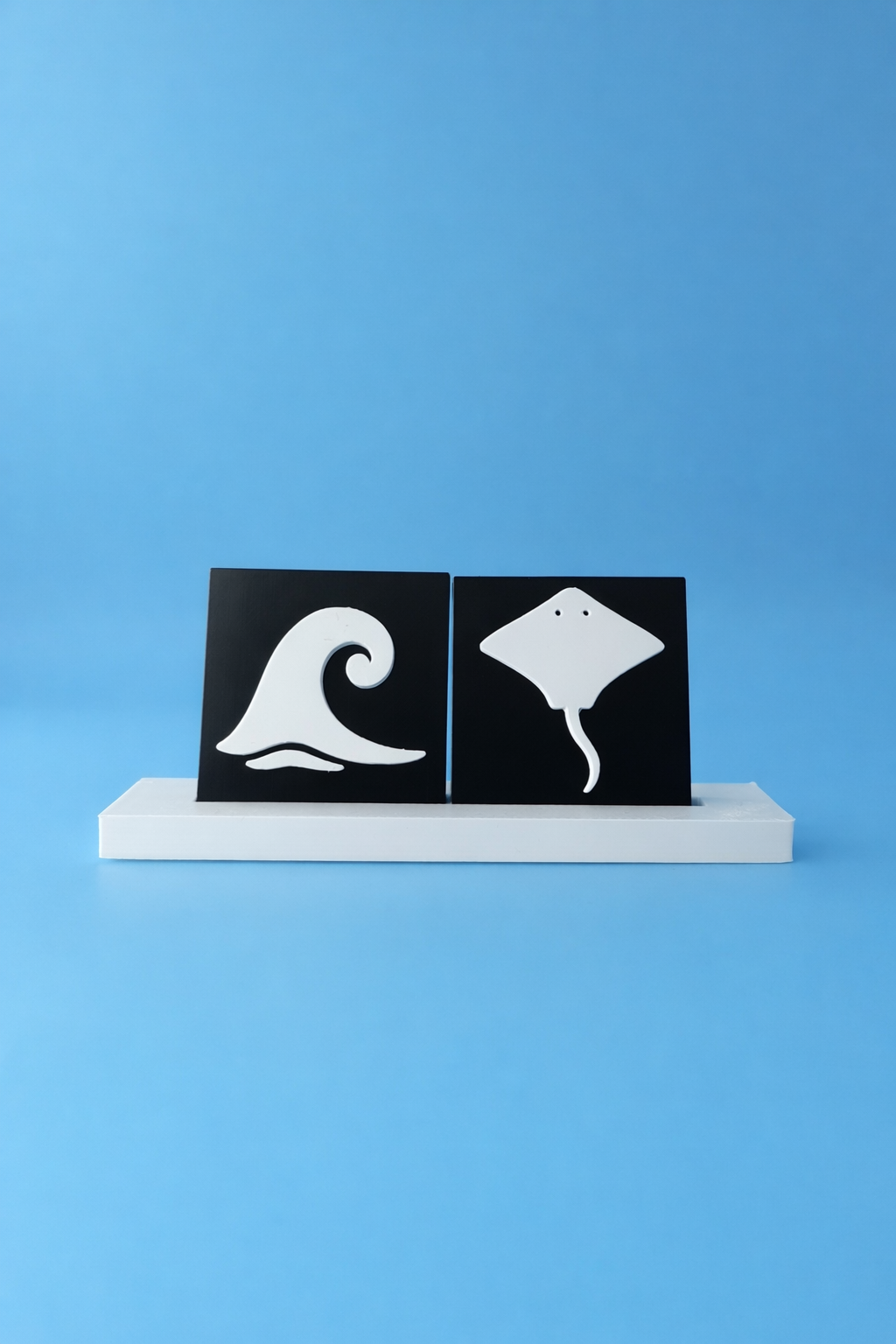 Ray & Wave
