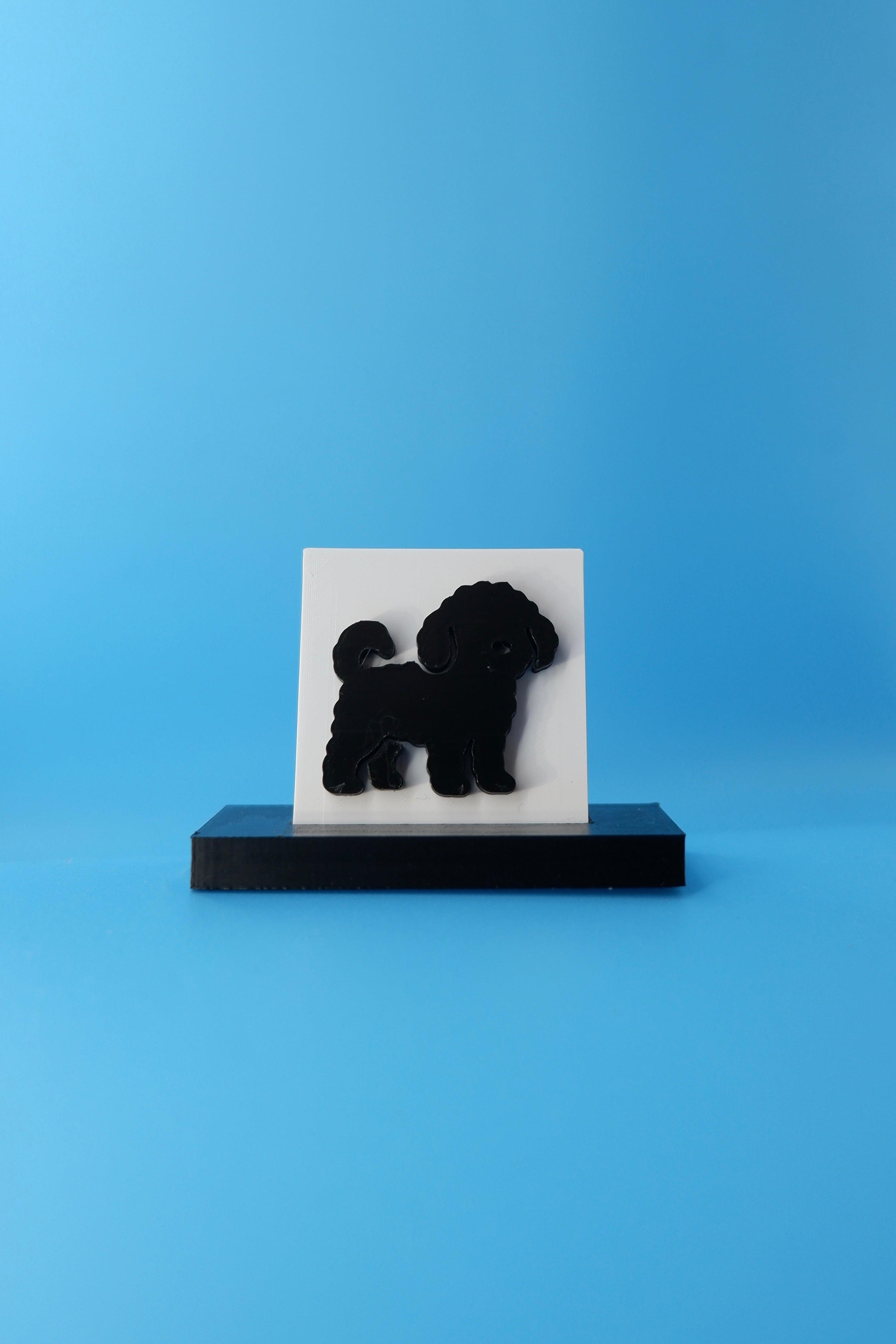Cavoodle