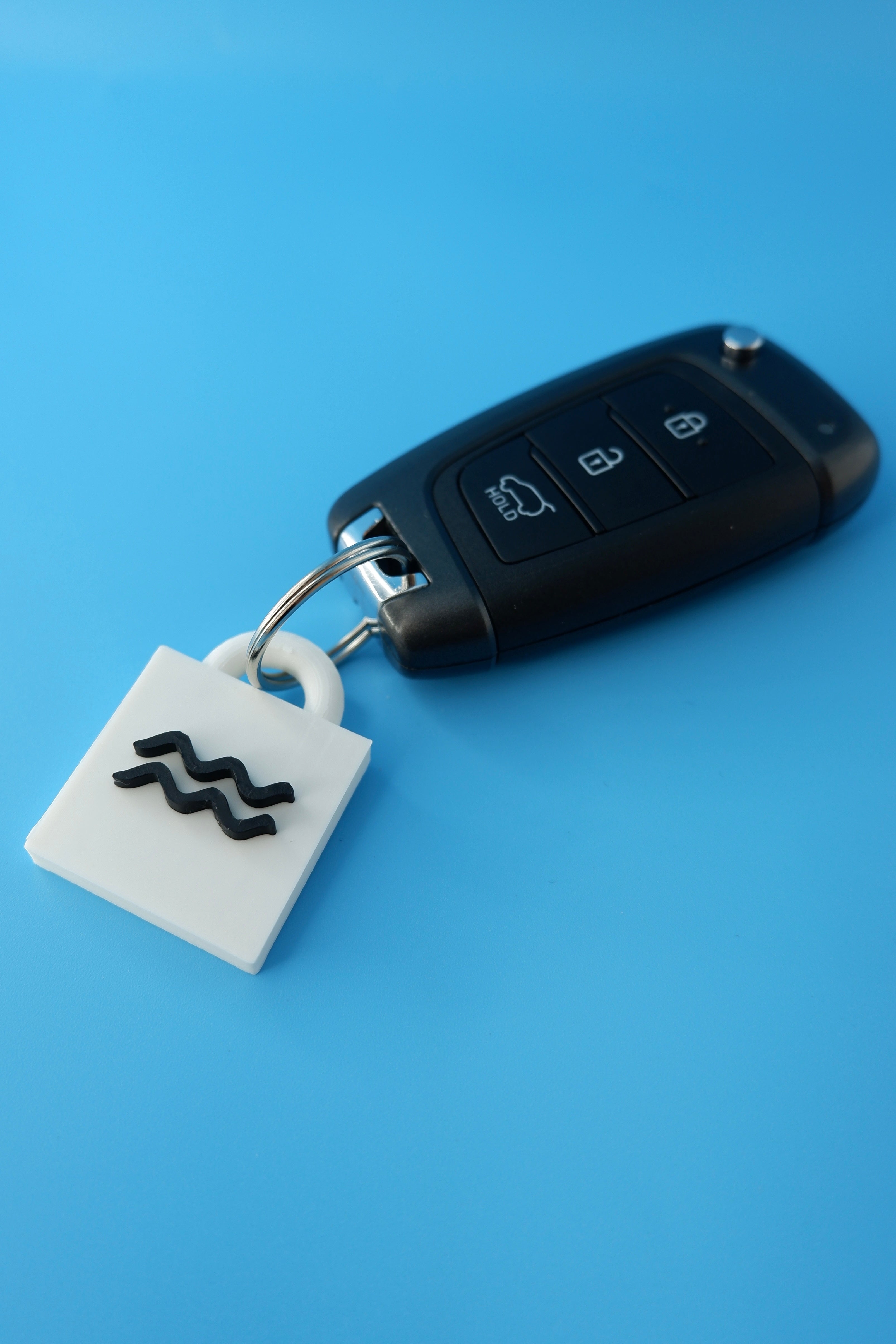 Aquarius Keychain