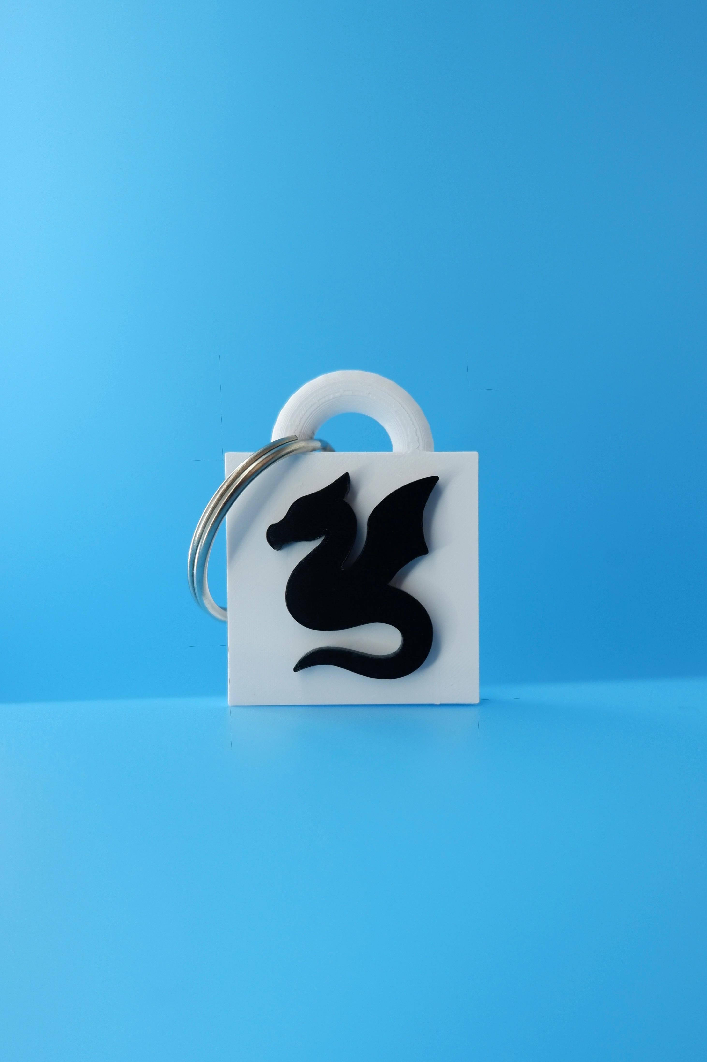 The Sky Protector Keychain