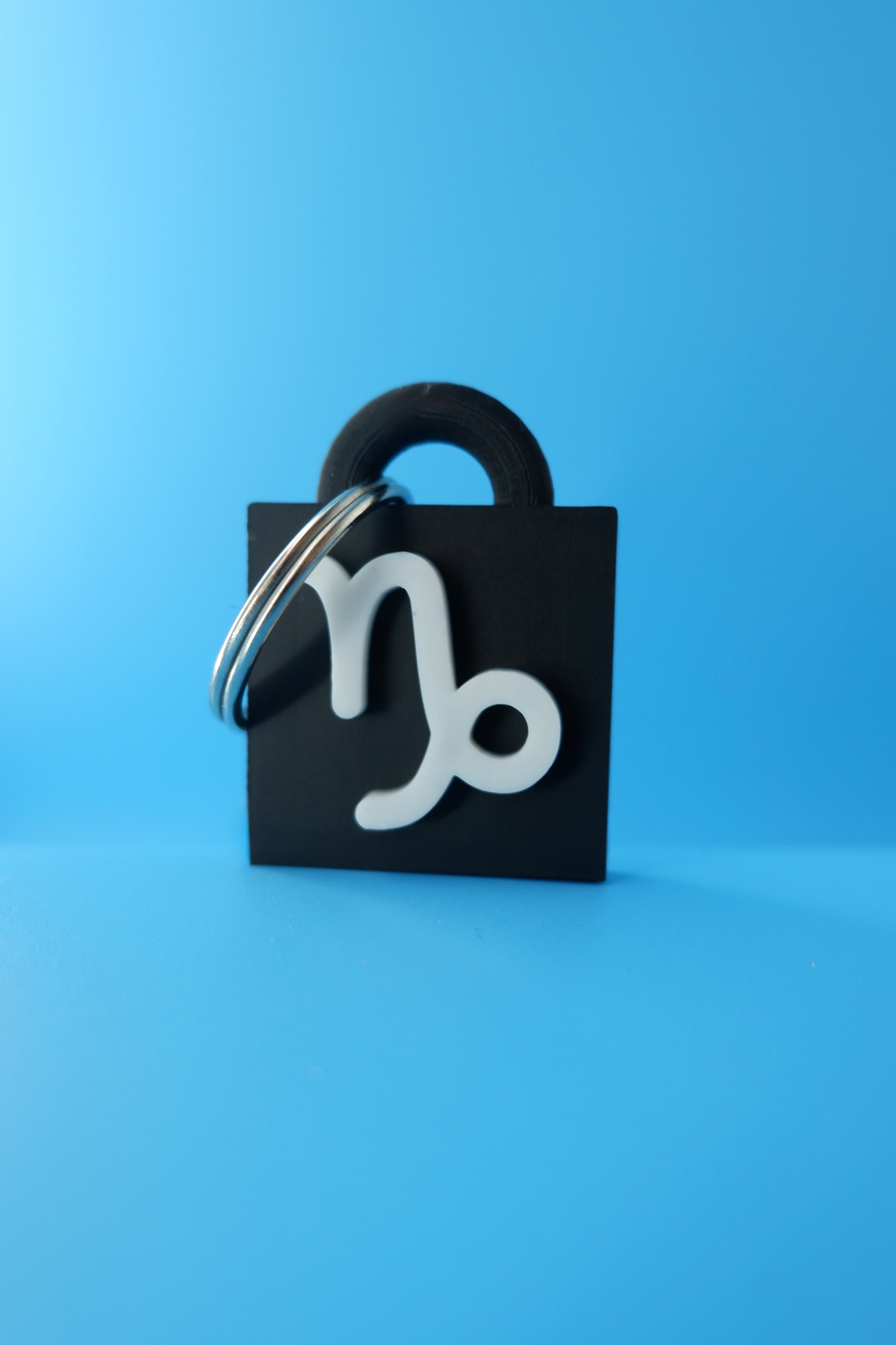 Capricorn Keychain