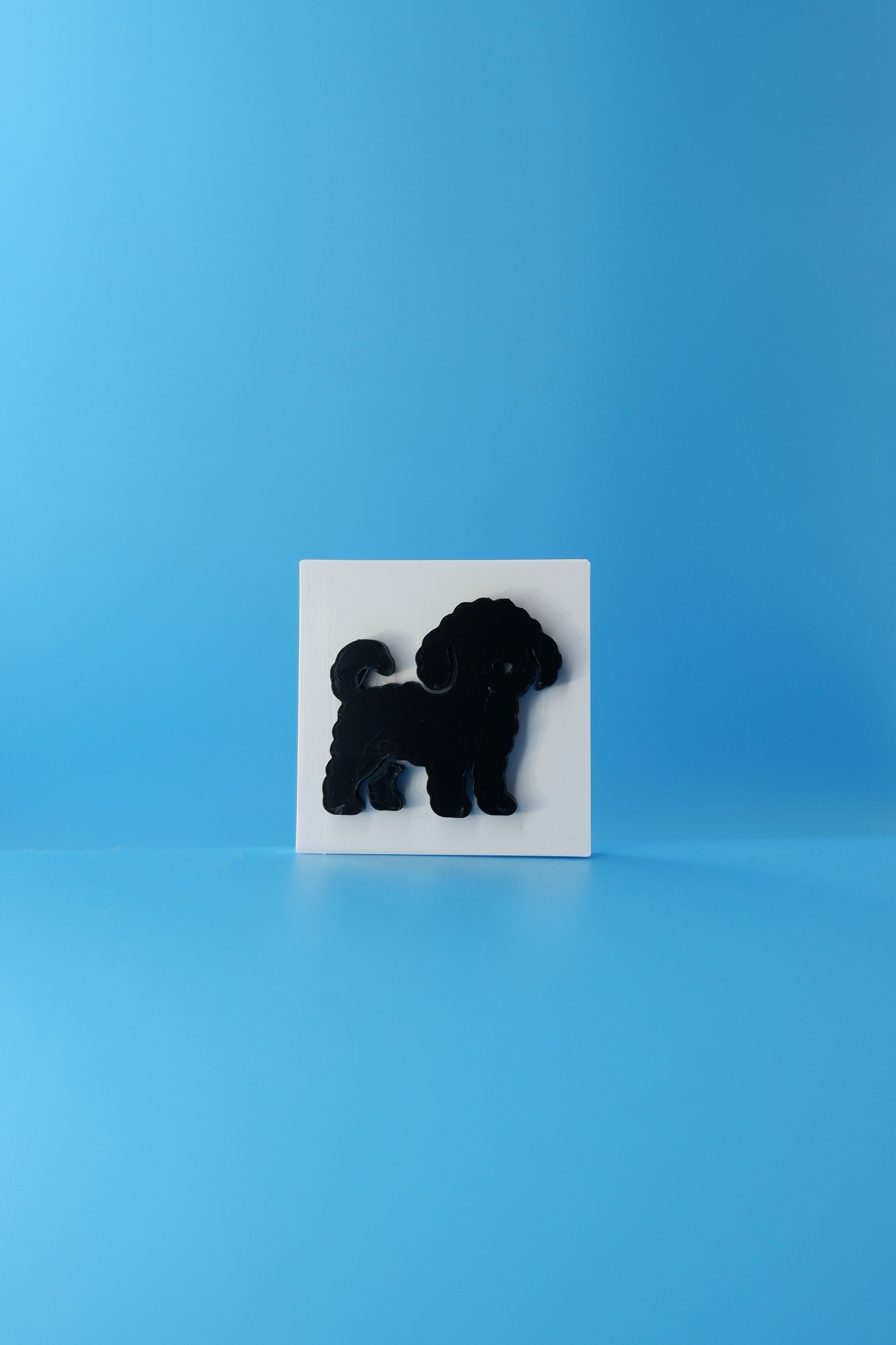 Cavoodle