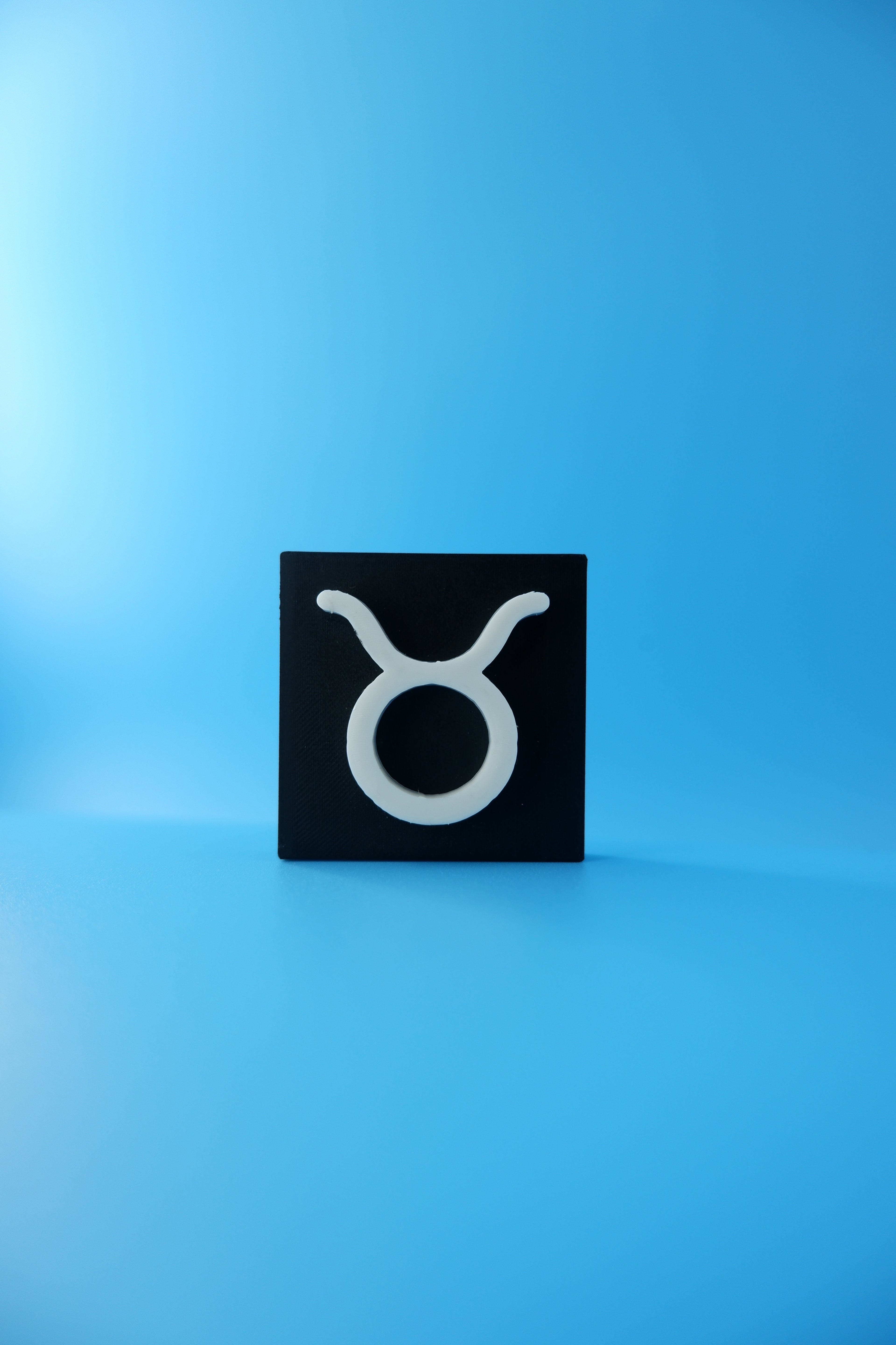 Taurus