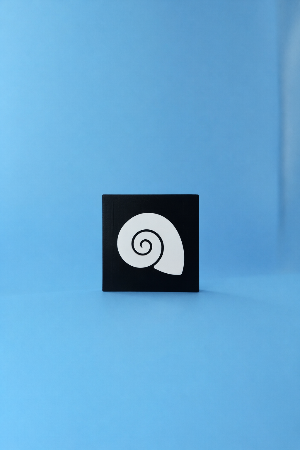 Spiral Seashell