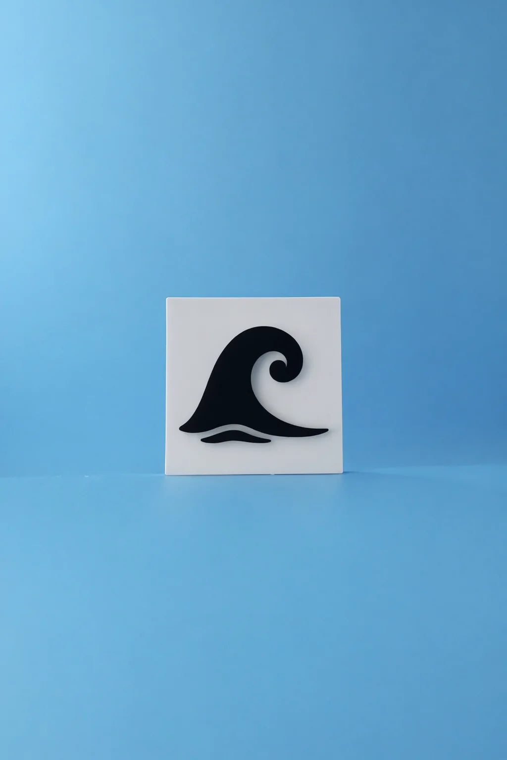 Ray & Wave