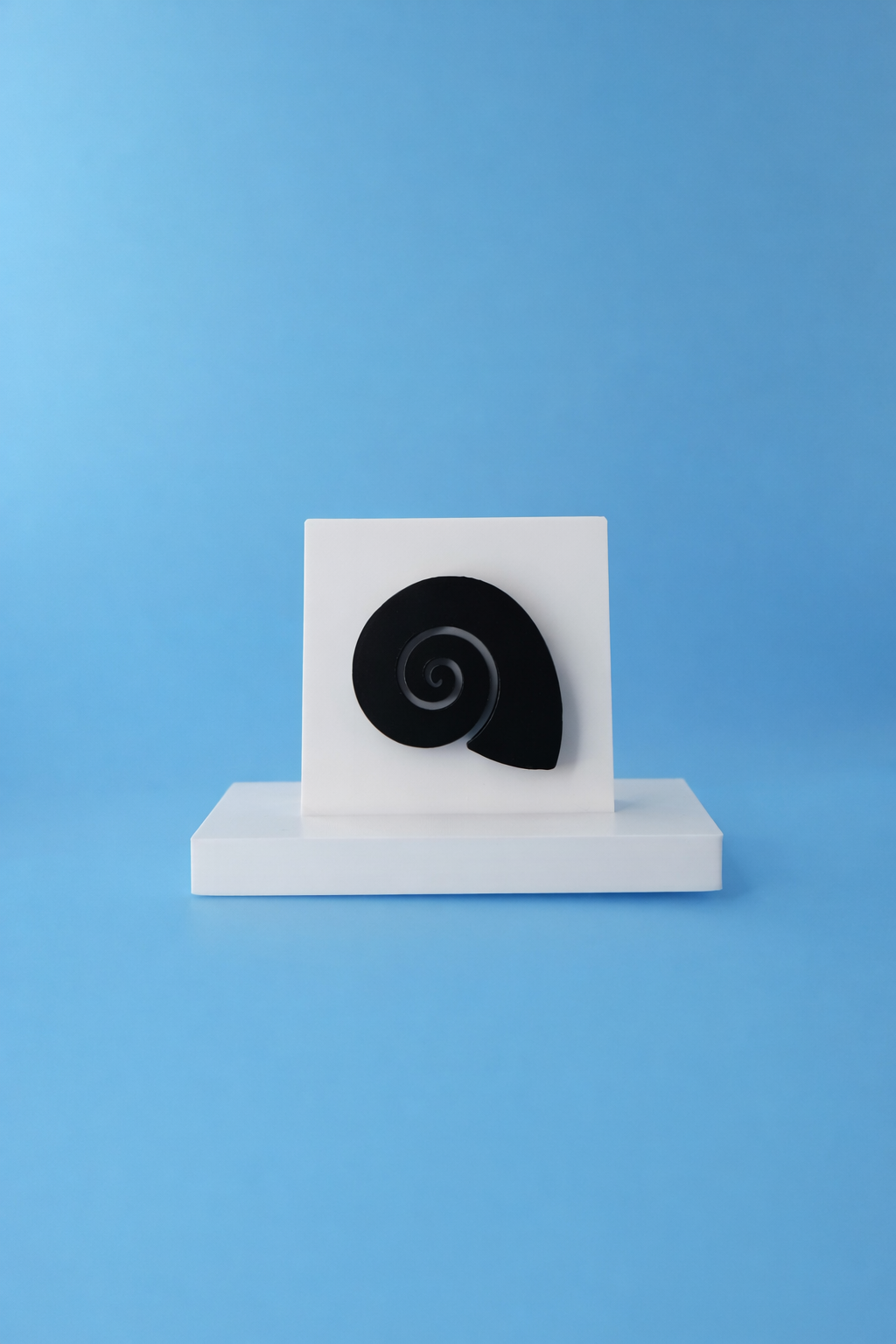 Spiral Seashell