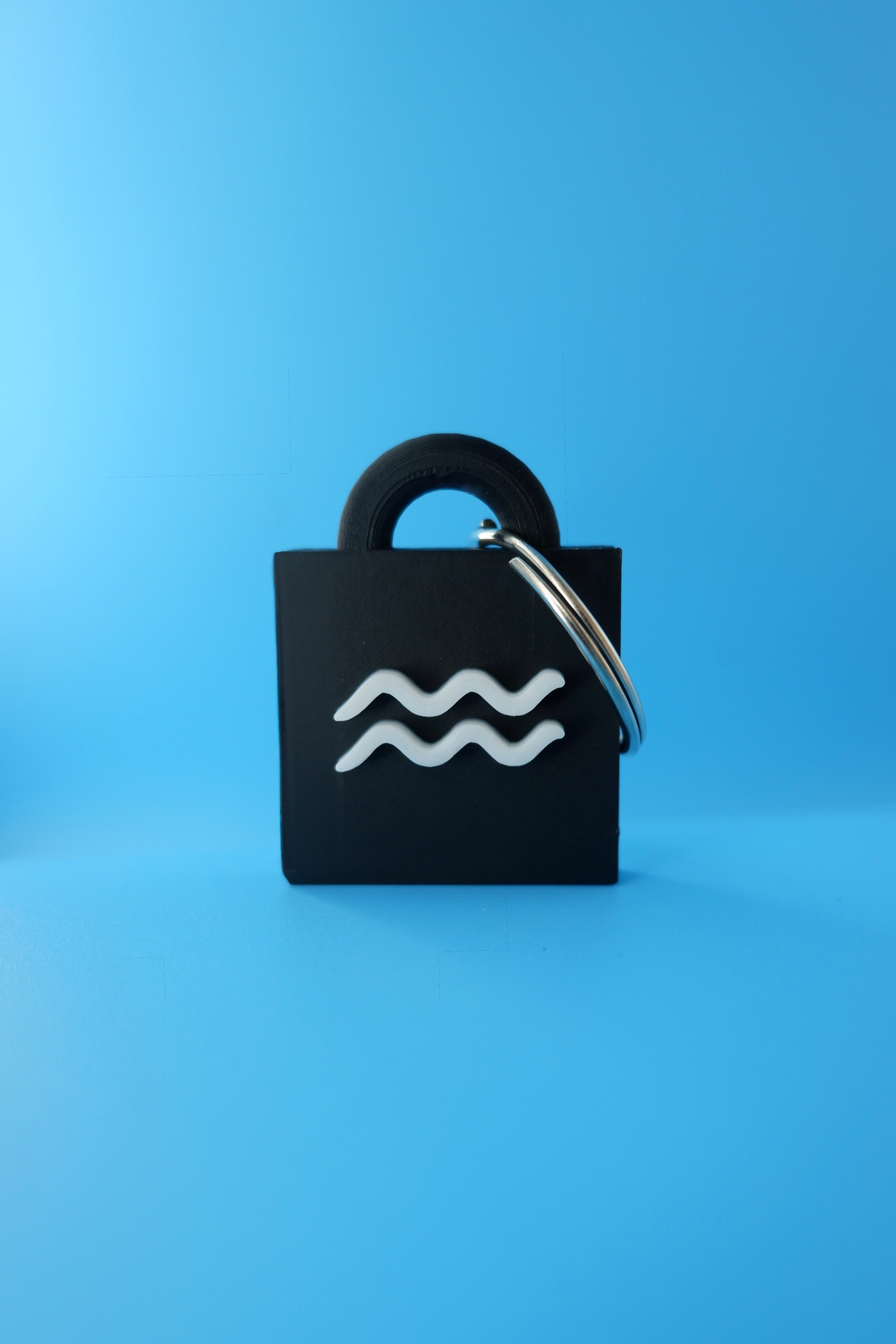 Aquarius Keychain