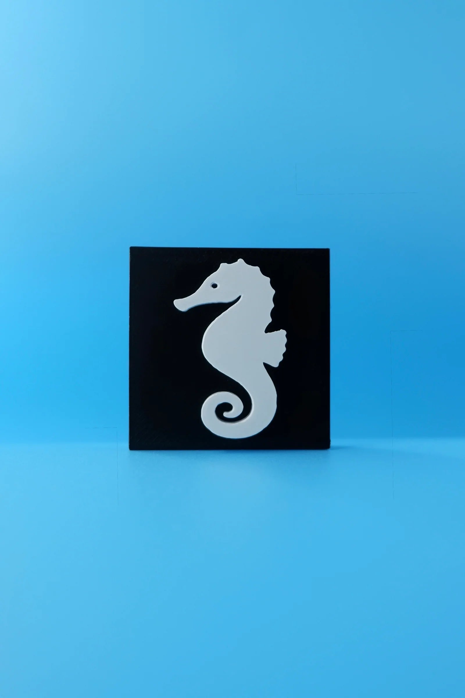 Seahorse, Tide Whisperer & Soft Current - Set