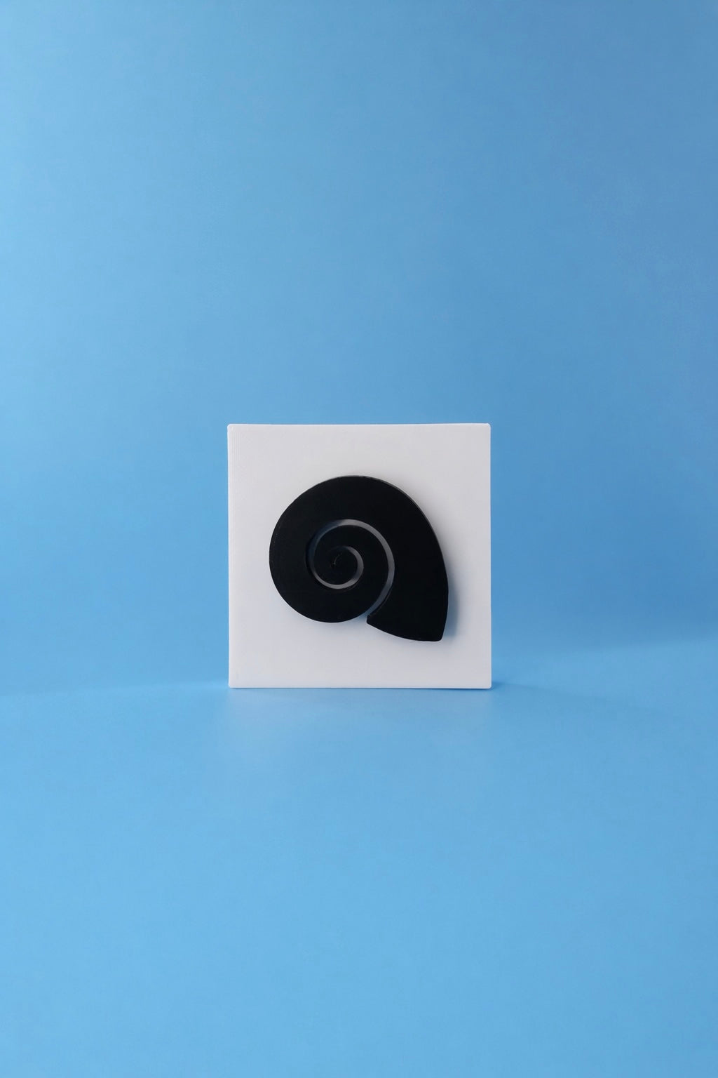 Spiral Seashell