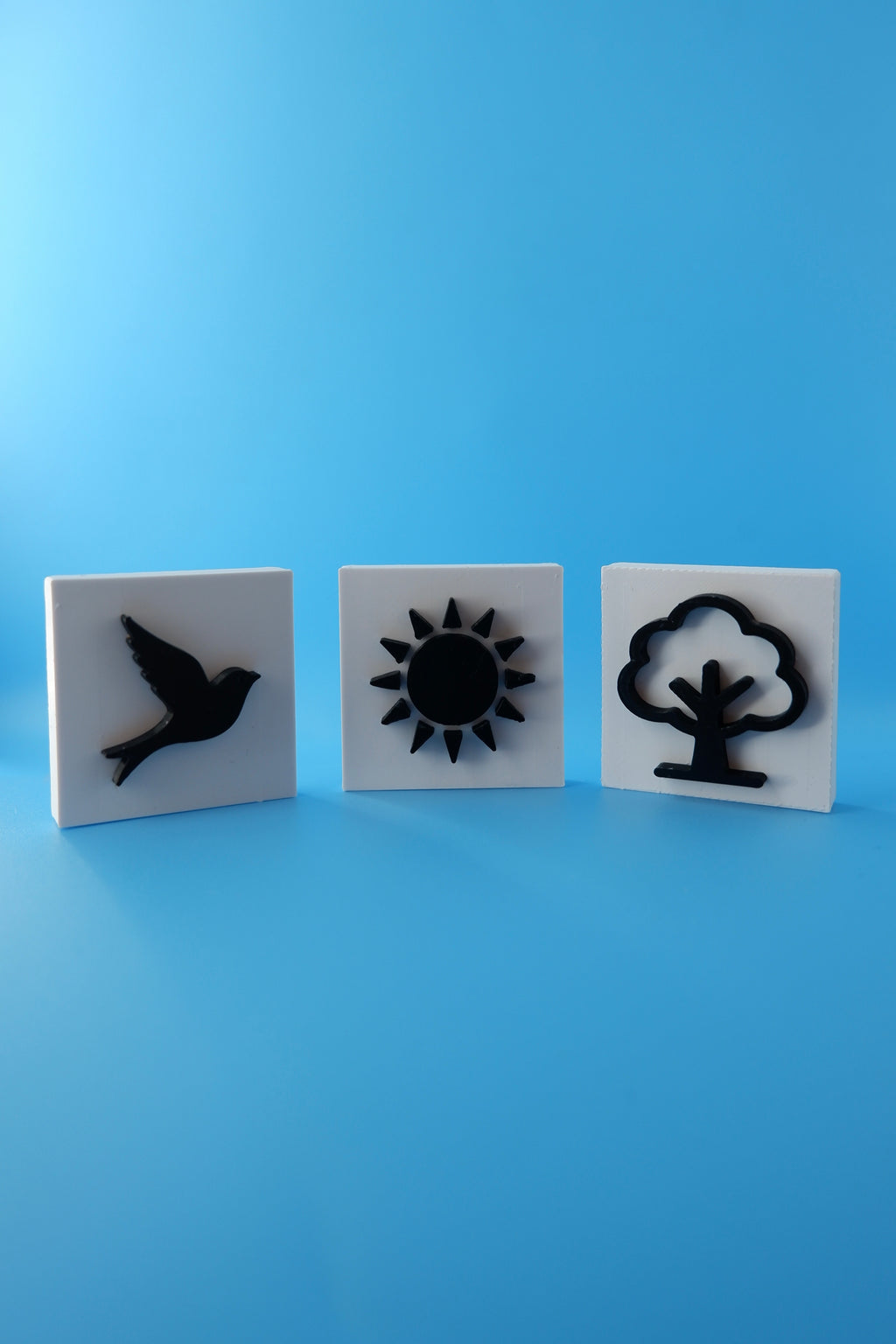 Essence of Nature Set
