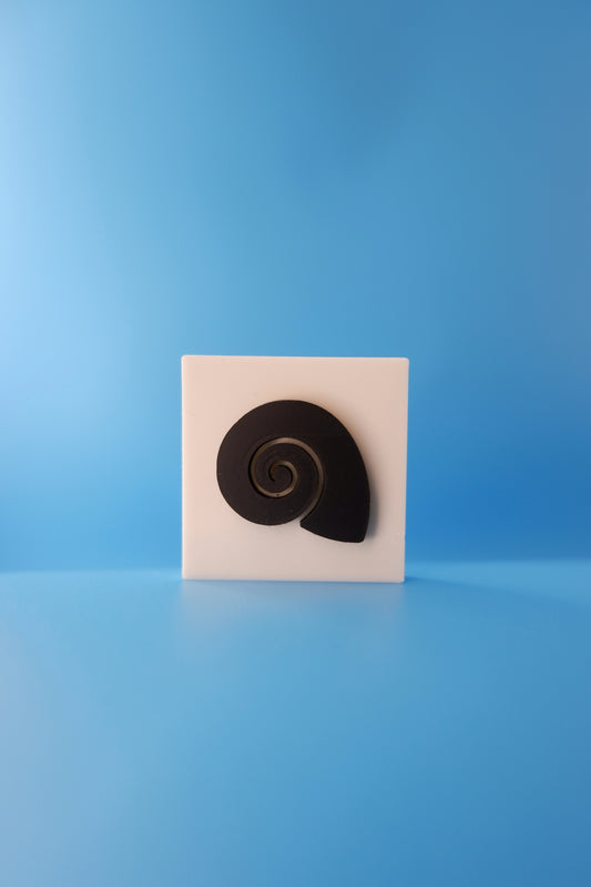 Spiral