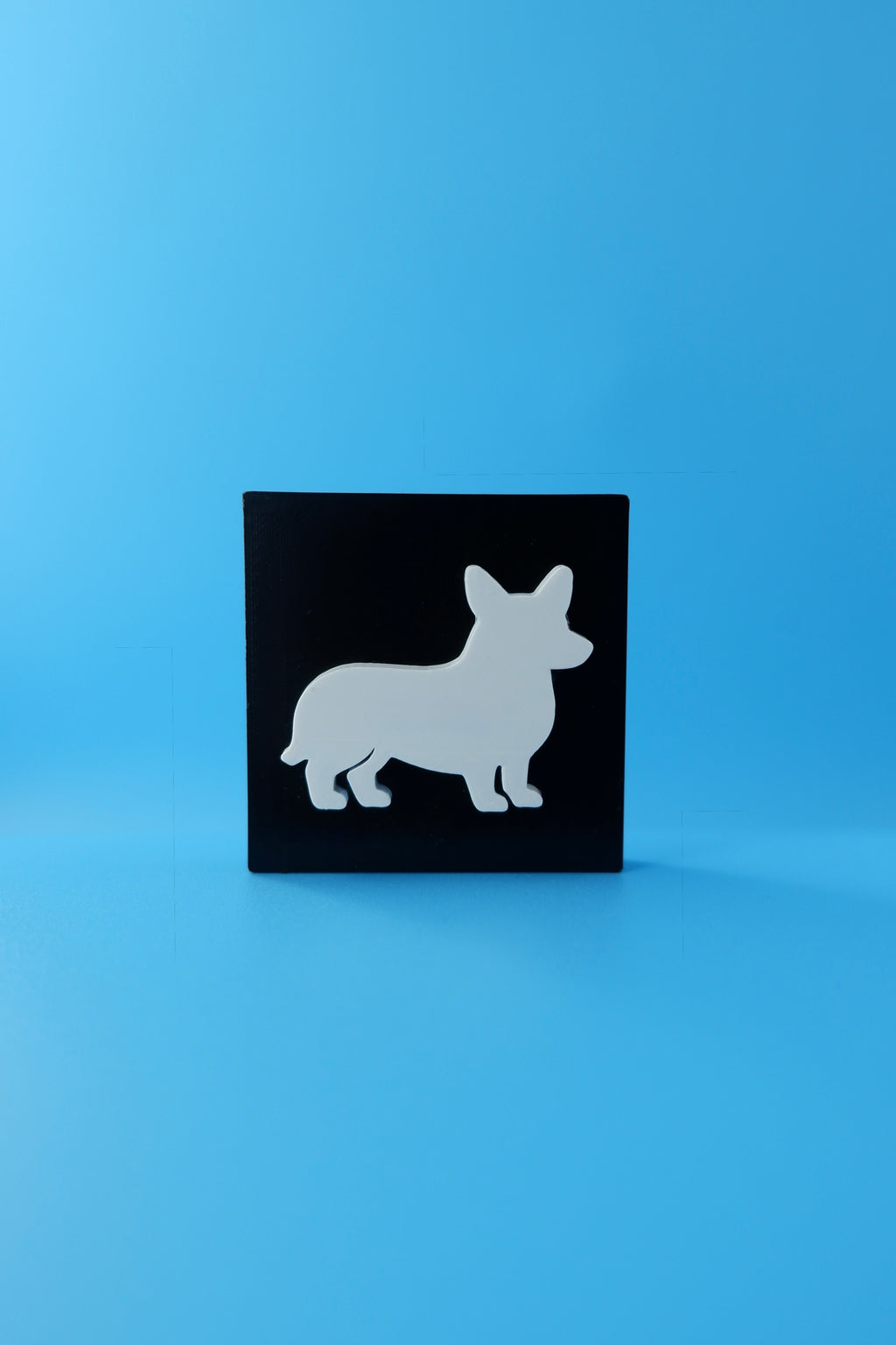 Corgi