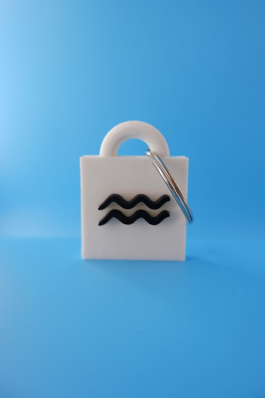 Aquarius Keychain