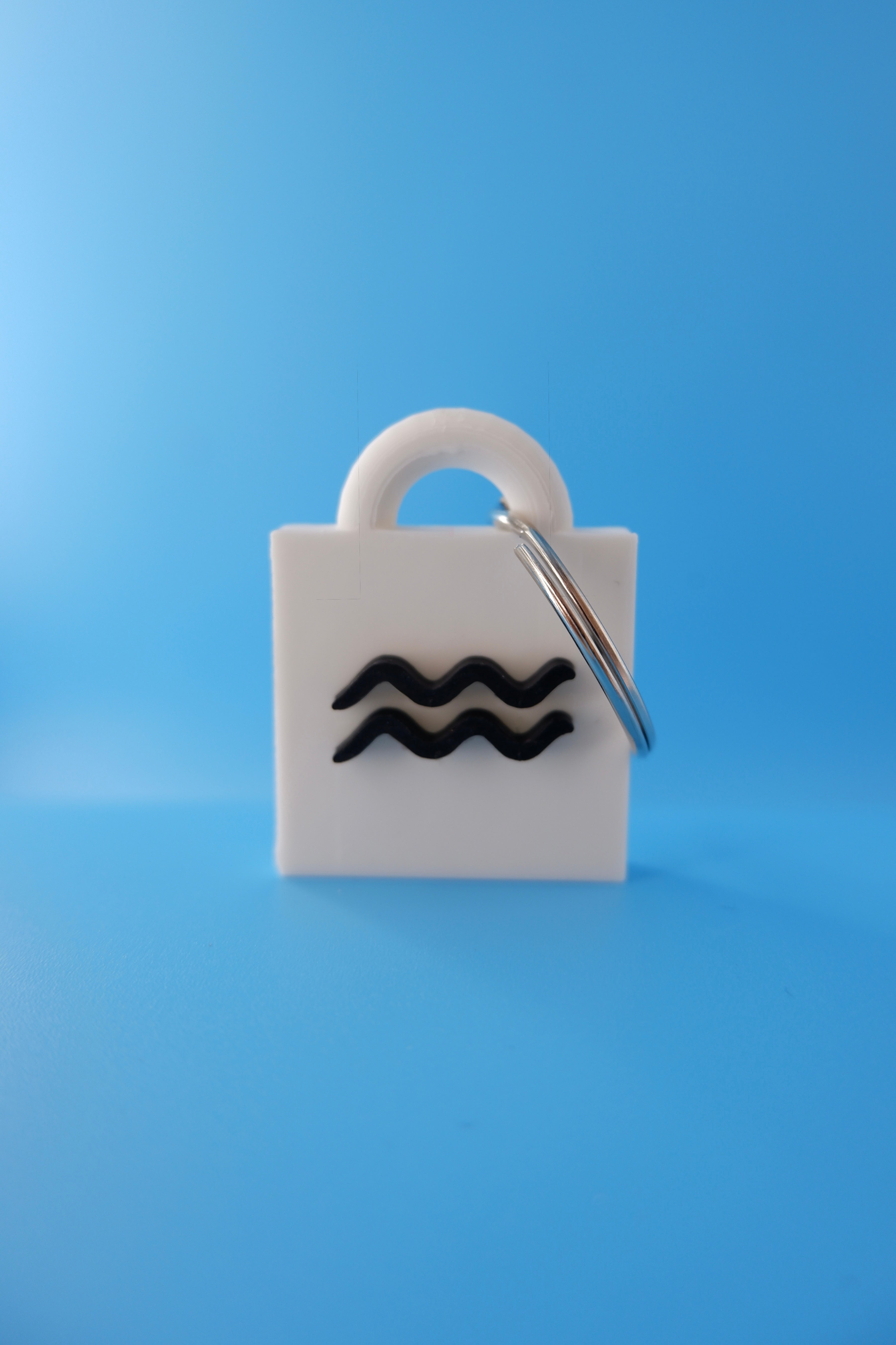 Aquarius Keychain