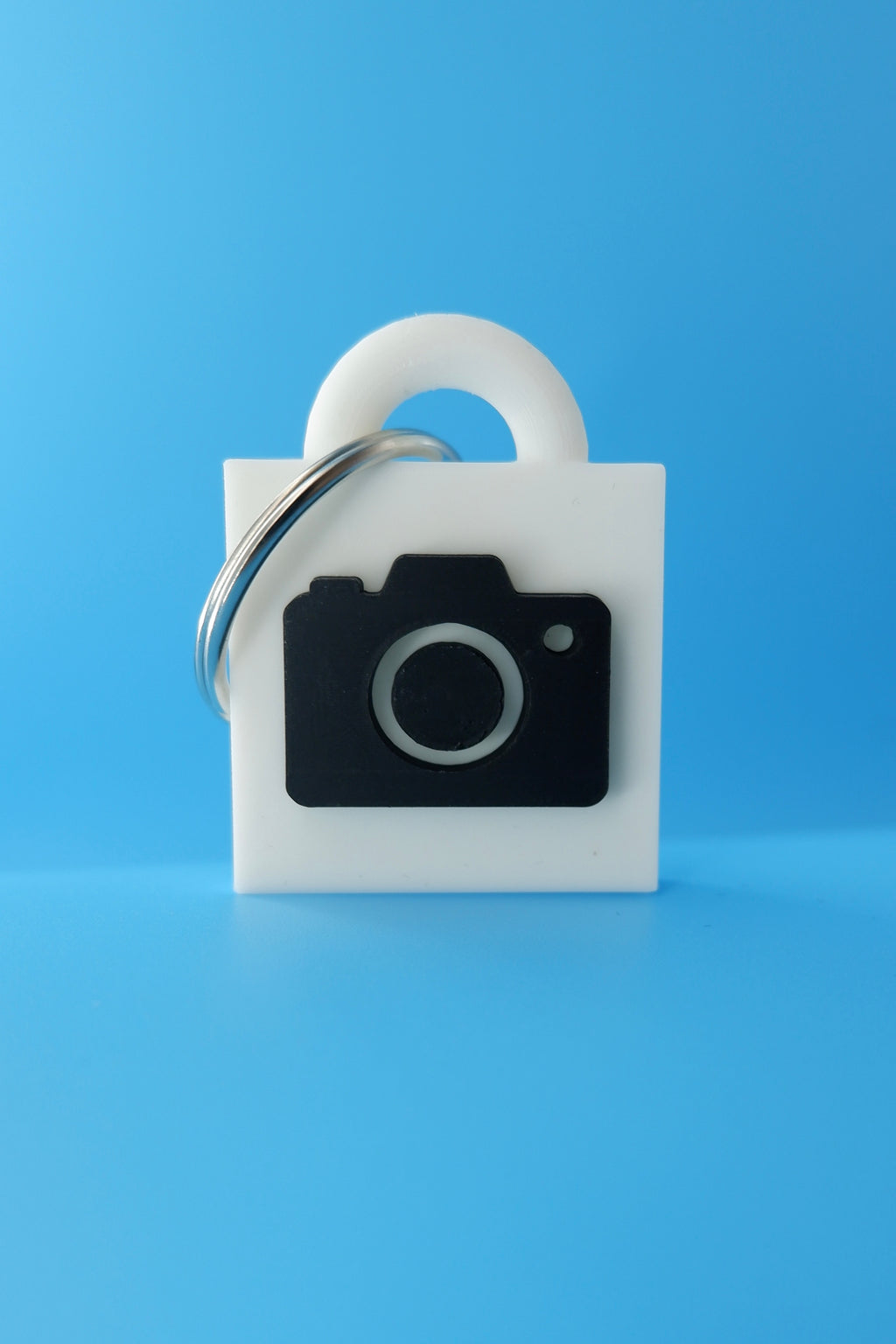 Take My Picture Keychain