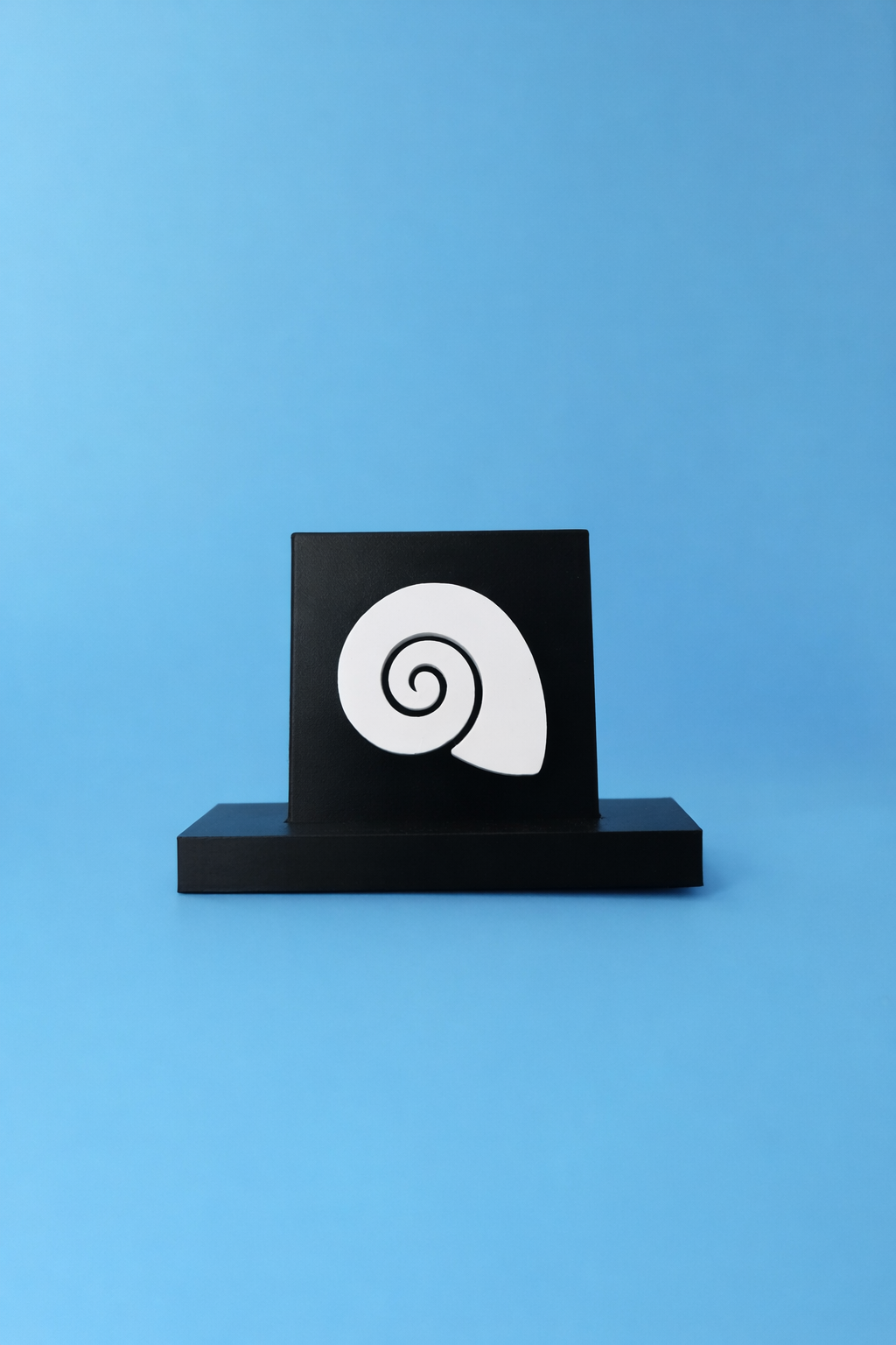 Spiral Seashell