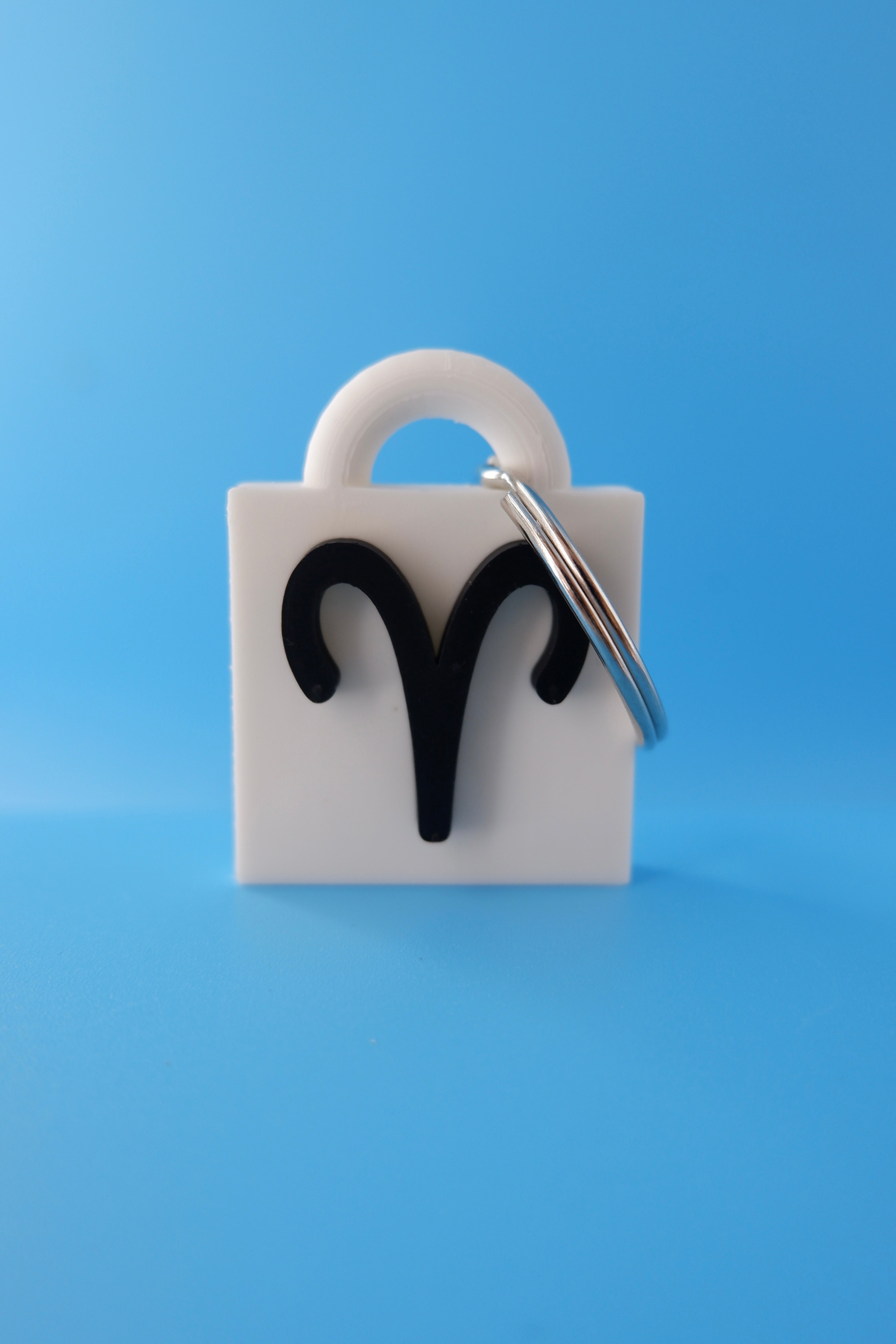 Aries Keychain