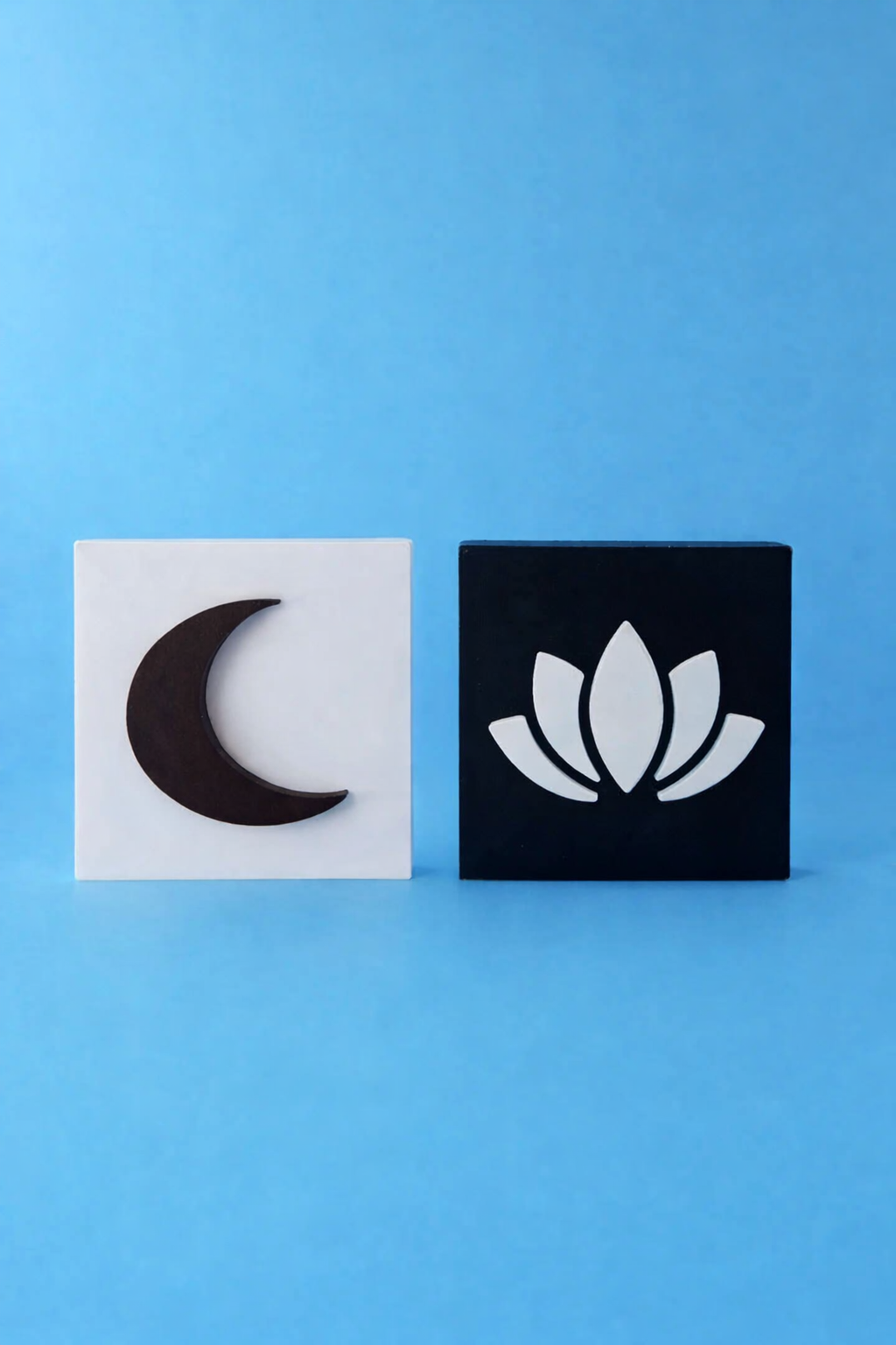 Lotus & Lune