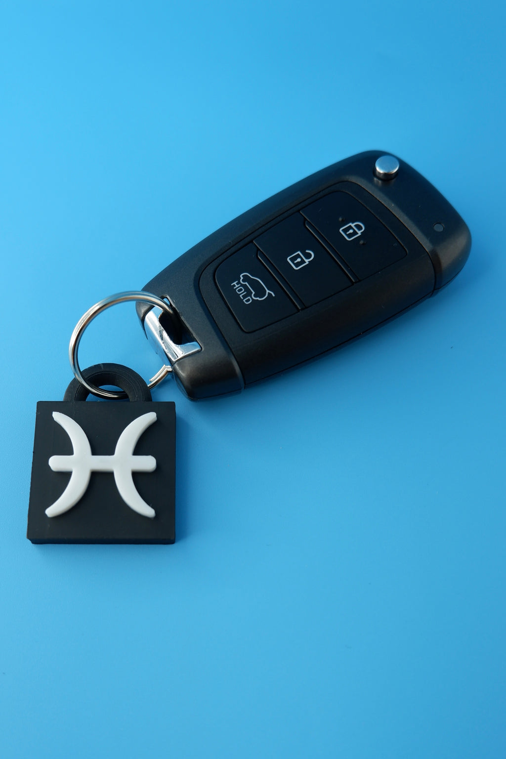 Pisces Keychain